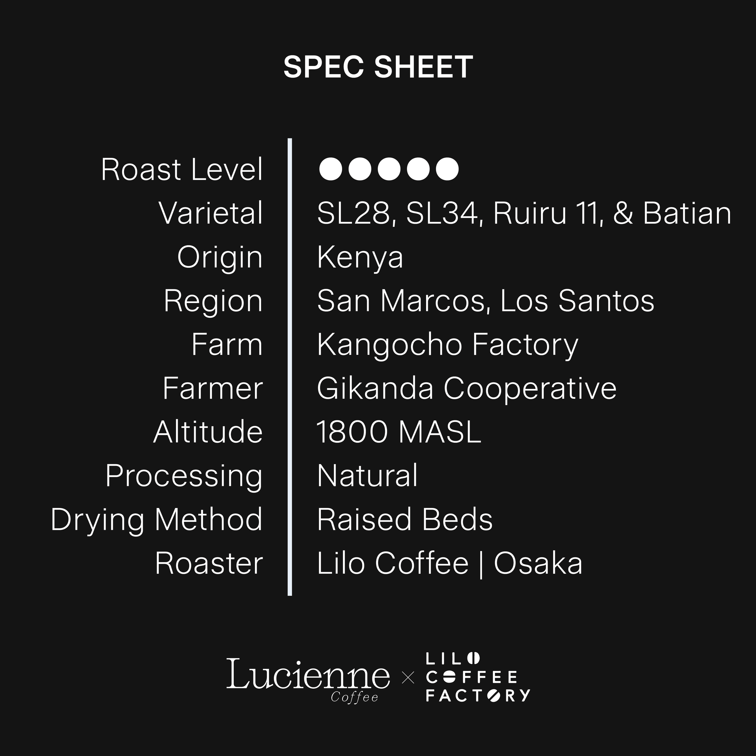 L021KE spec sheet v1.png