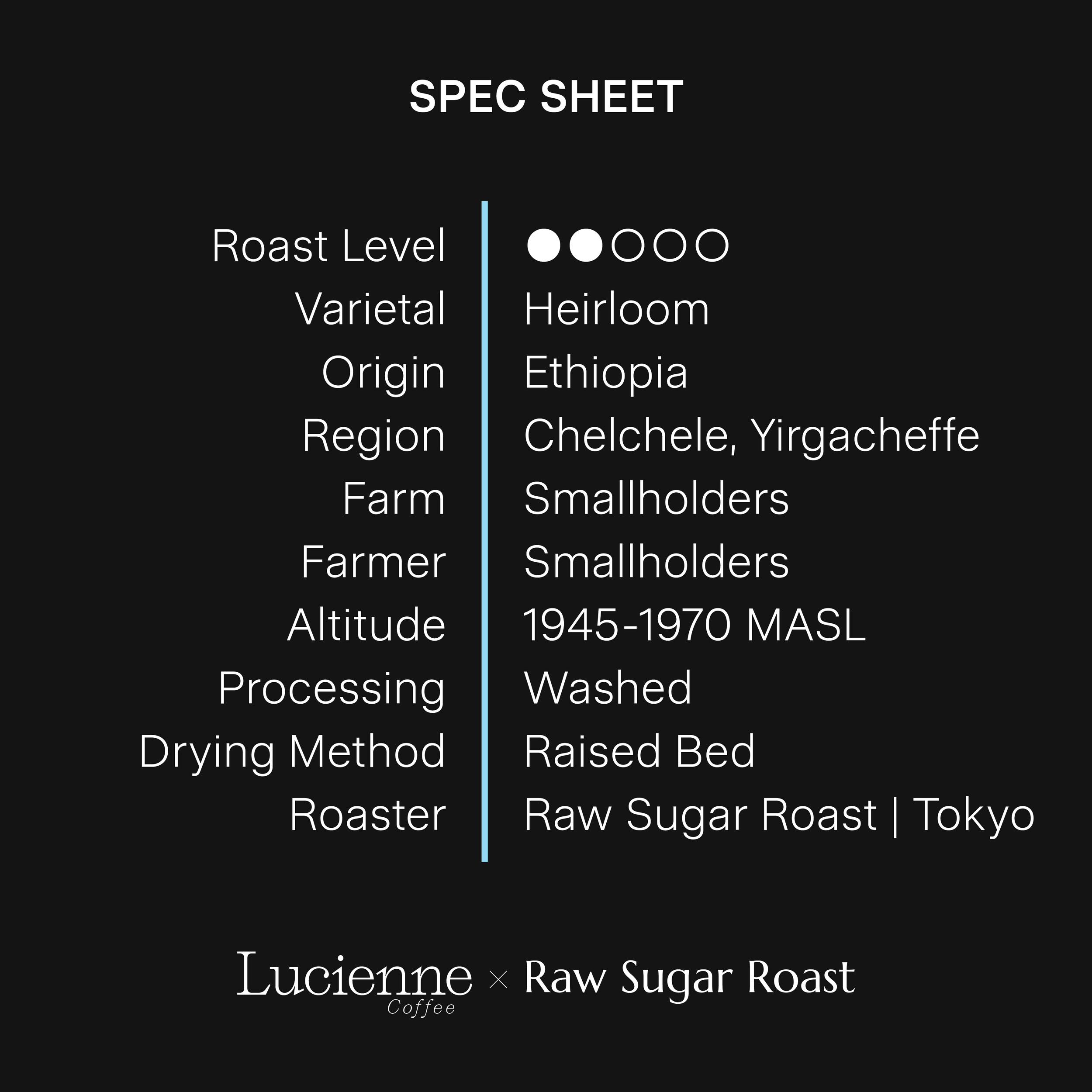 S019ET spec sheet v1.png