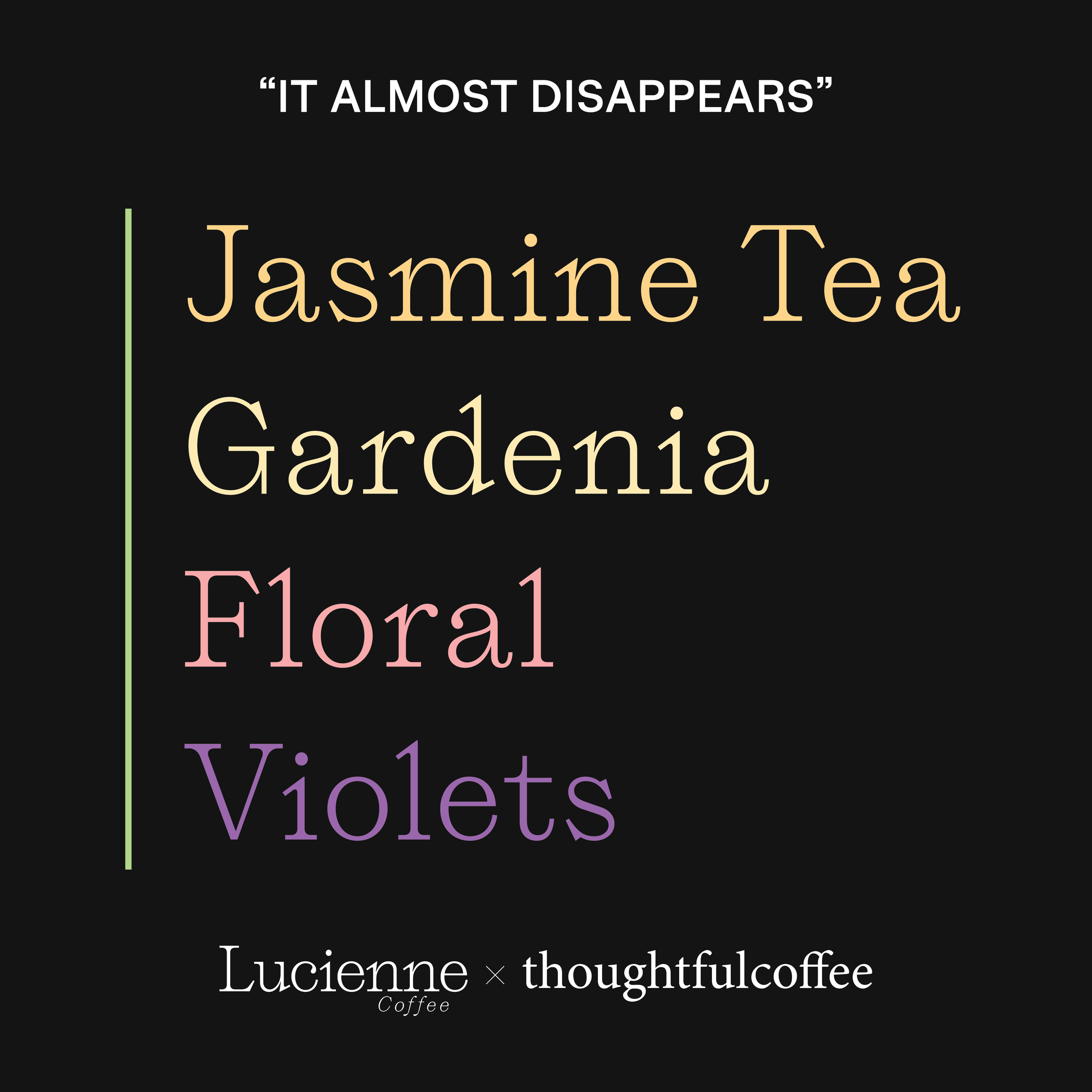 Lat Pan Pin Jasmine Anaerobic Honey Catuai