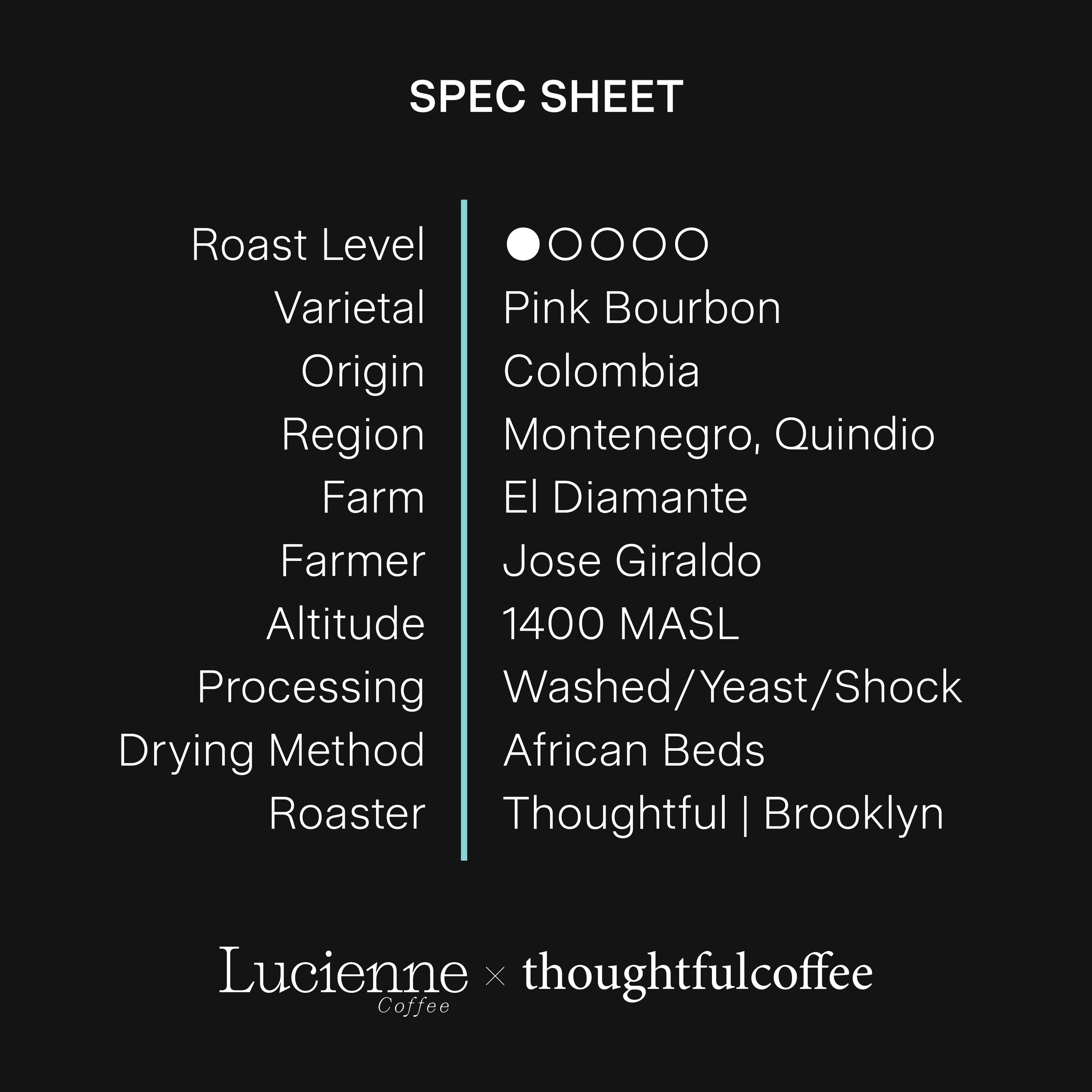 T004CO spec sheet.png