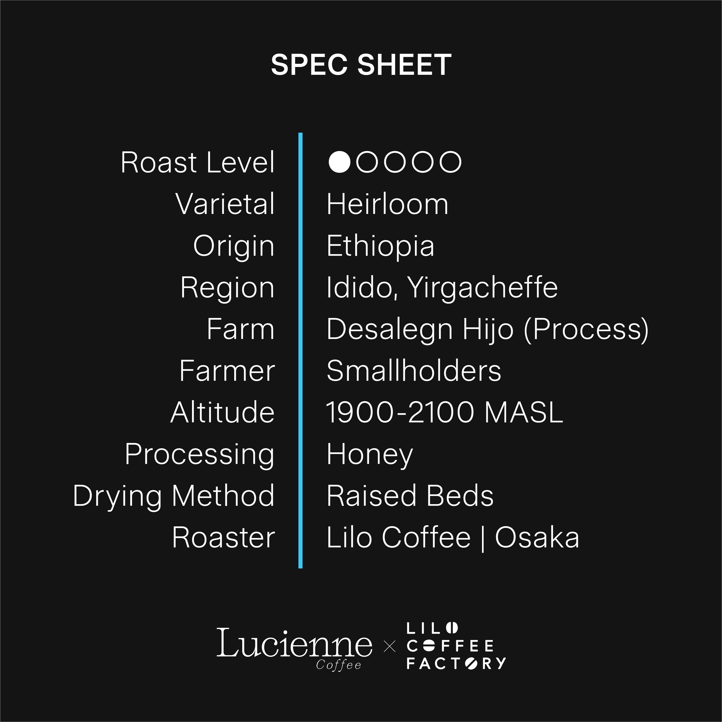 L017ET spec sheet v1.png
