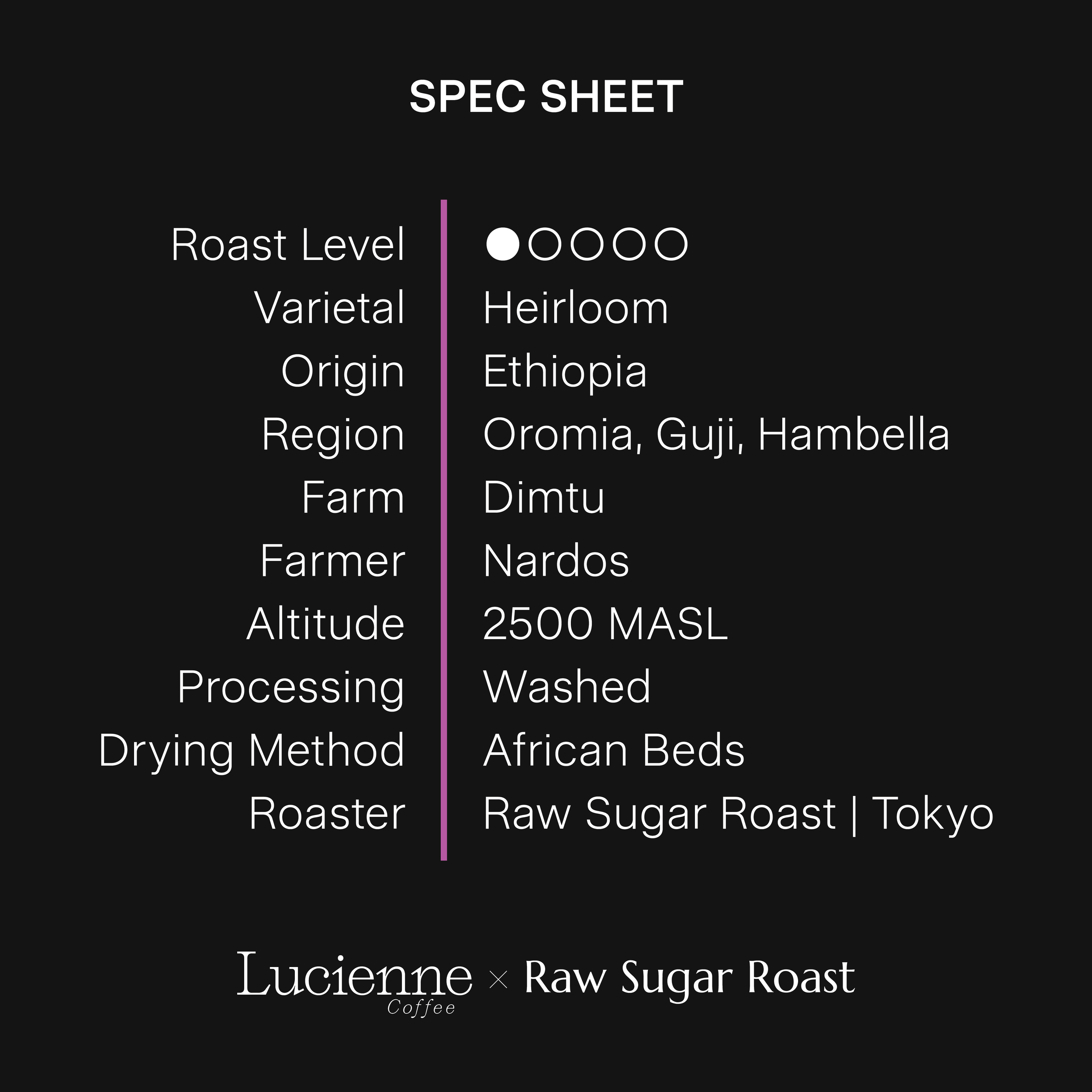 S010ET-XX spec sheet v1.png