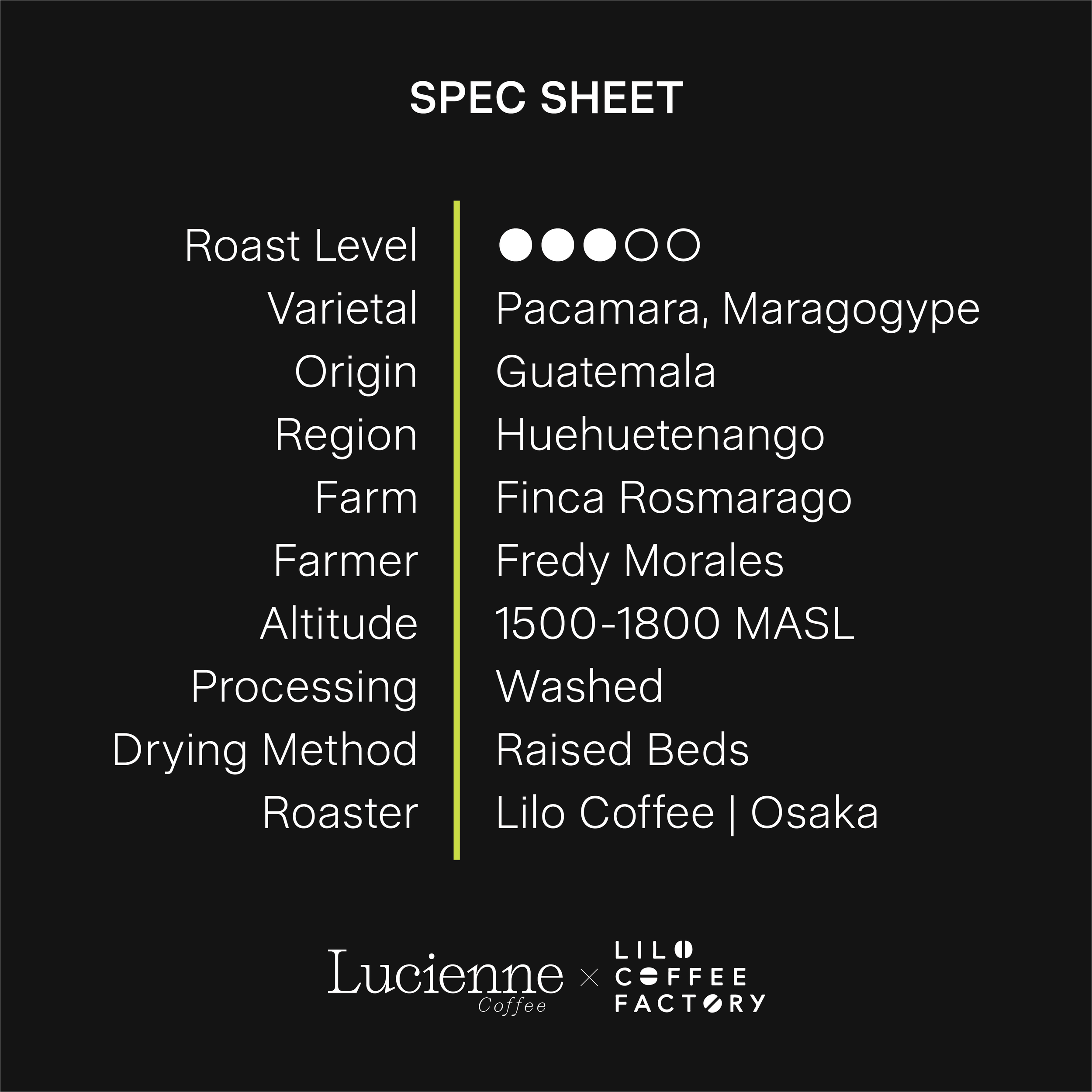 L016GT spec sheet v1.png