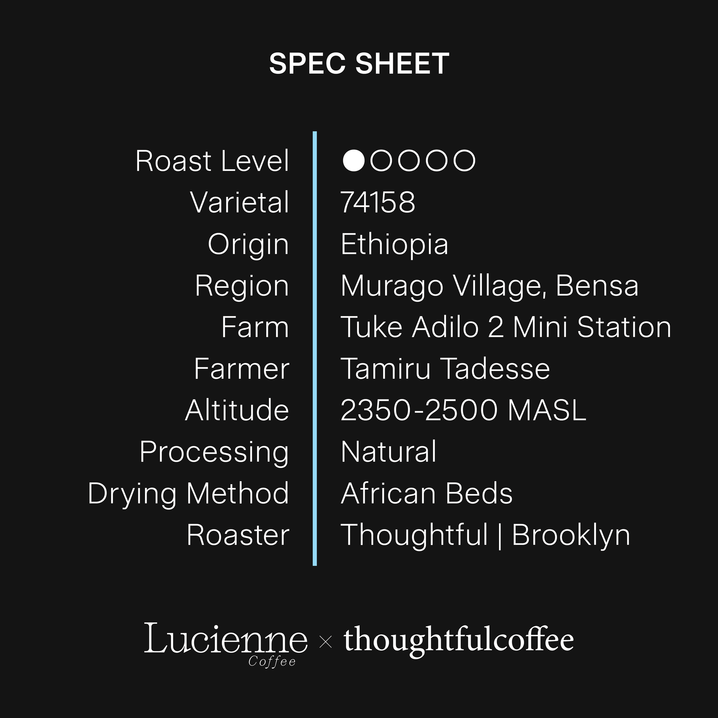 T011ET spec sheet.png