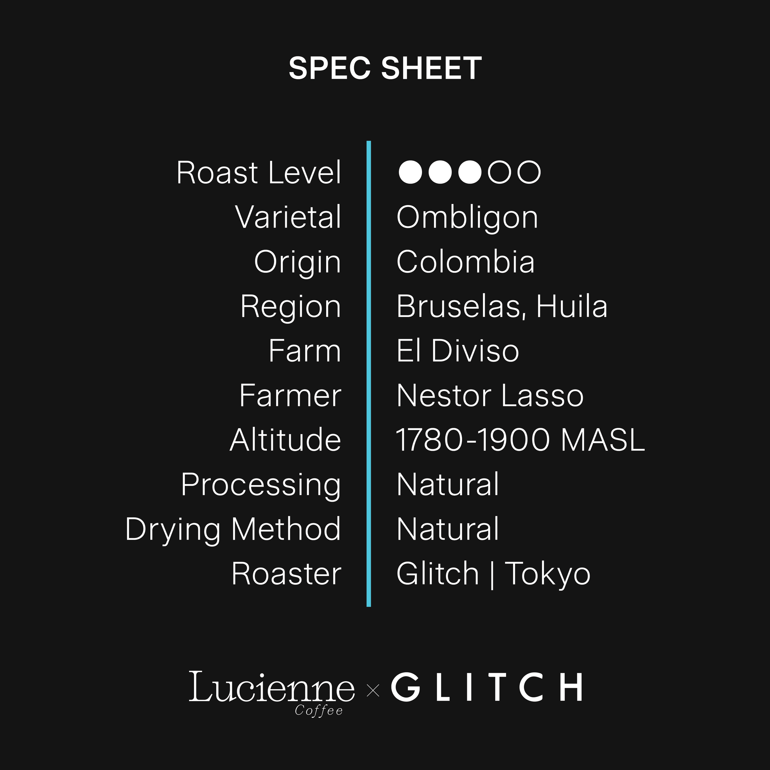 G021CO spec sheet v2.png