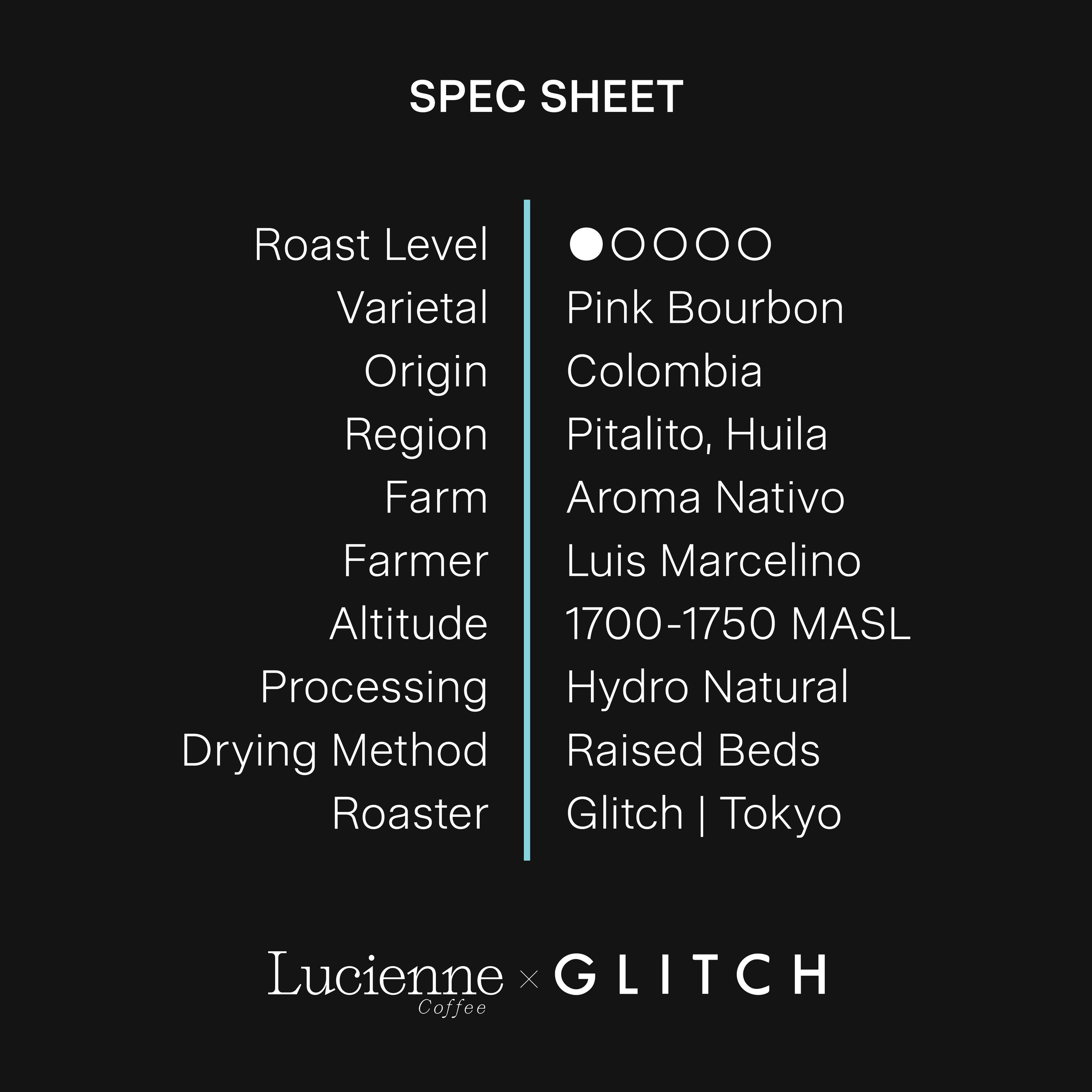 G081CO-XX spec sheet v1.png
