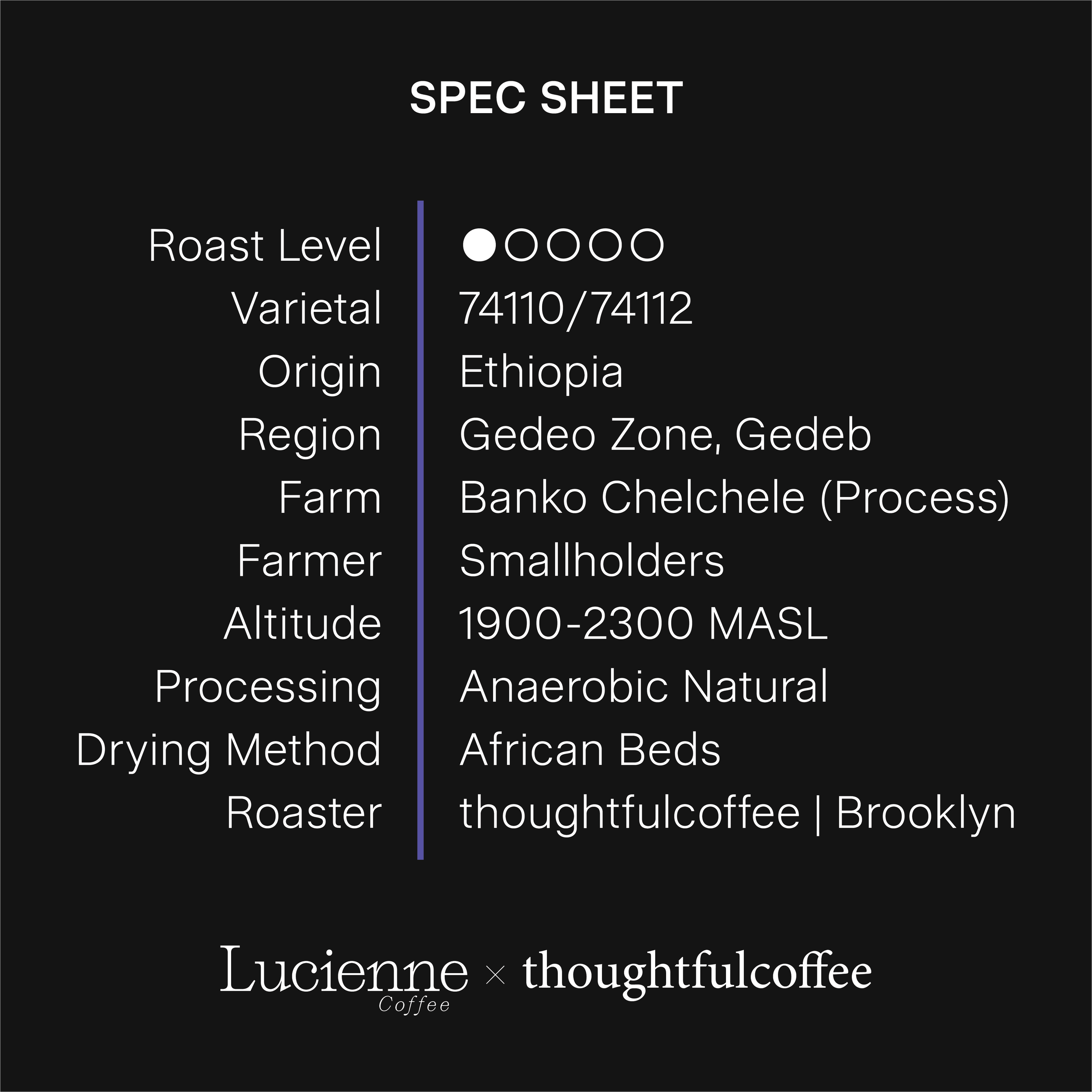 T002ET spec sheet.png