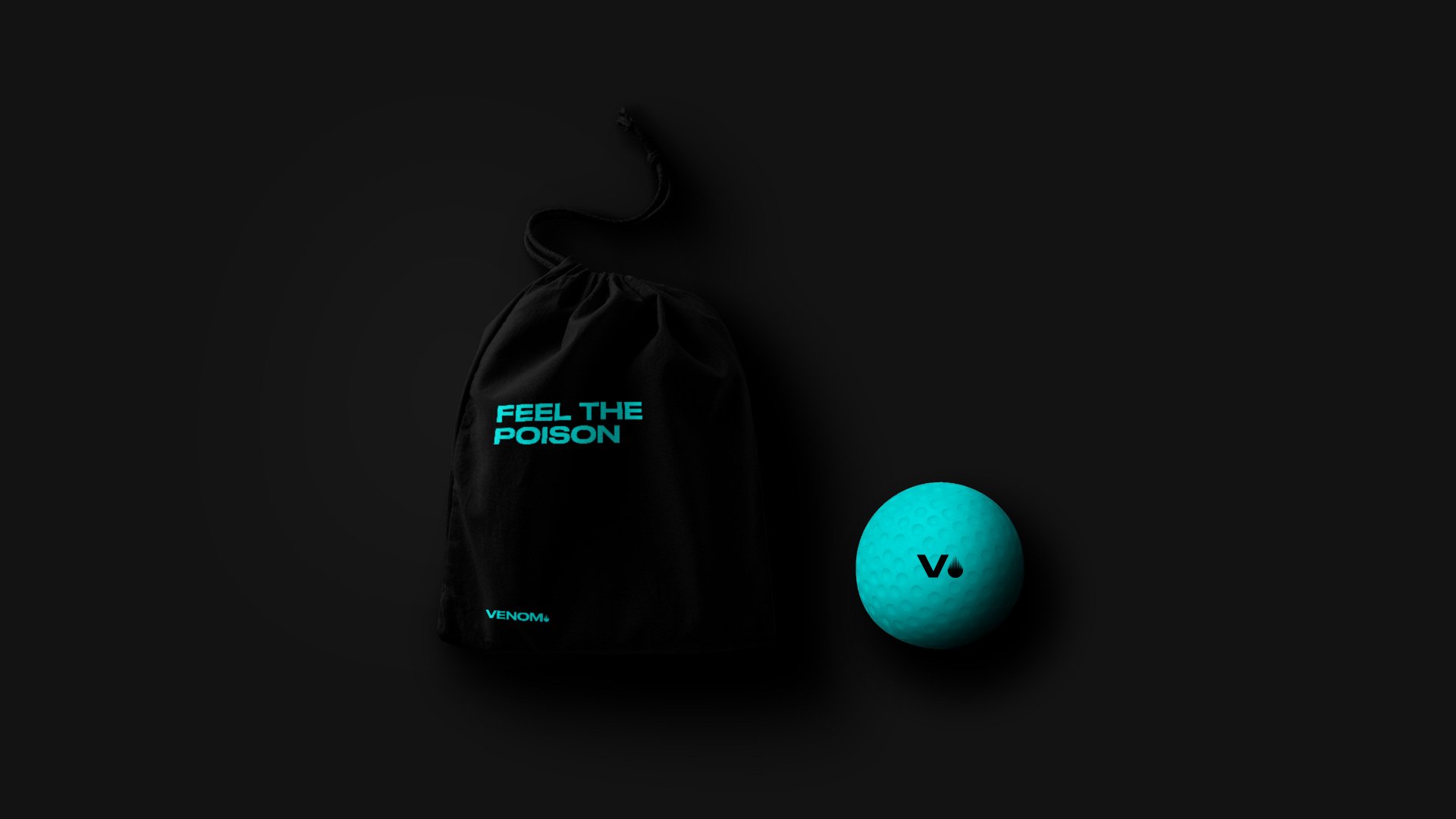 VENOM-BAG-BALL.jpg