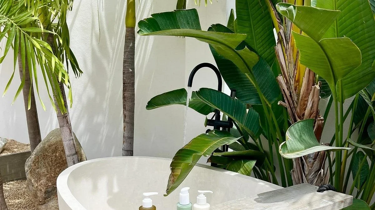 "Office Hours" #17: Who You Know