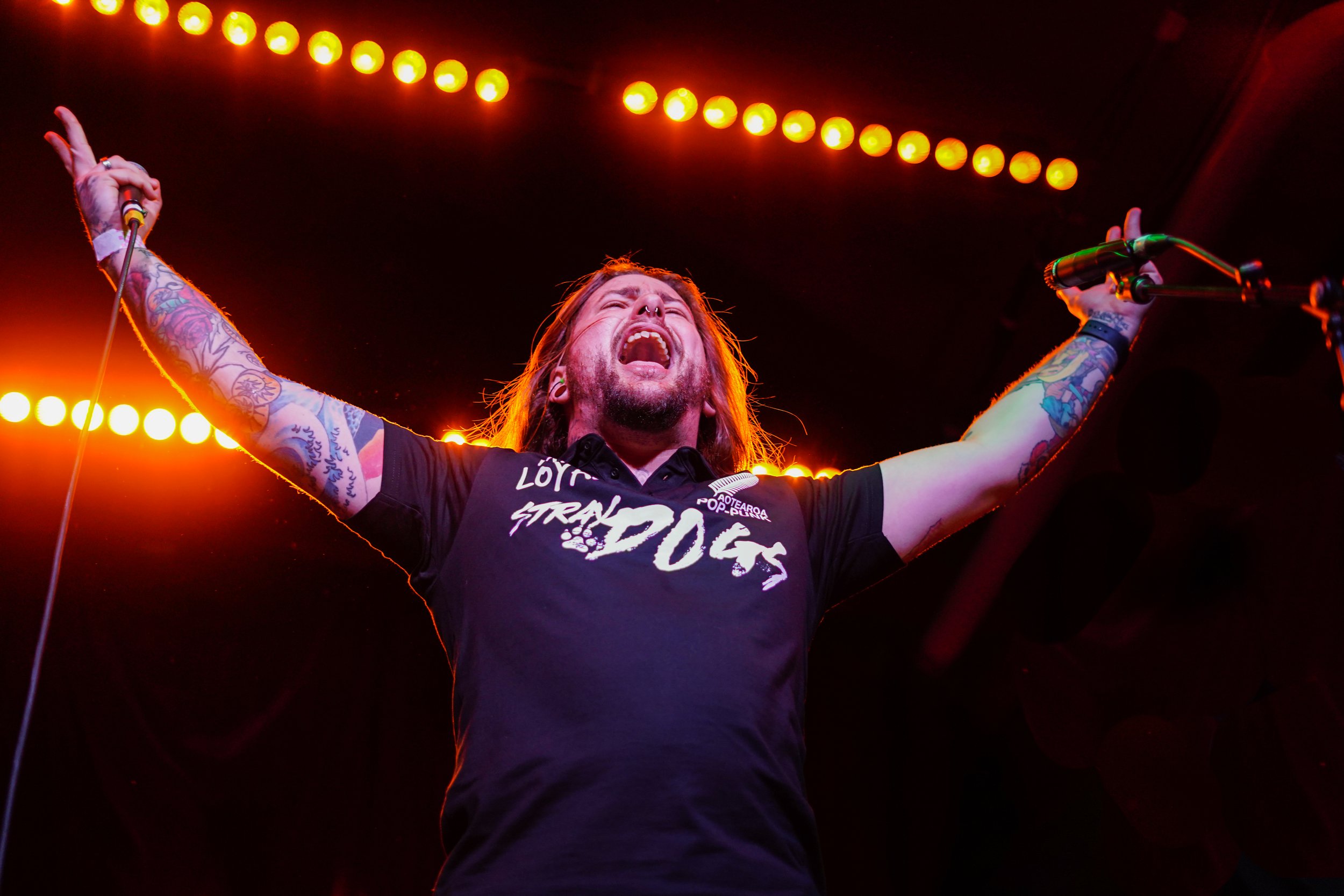 What the F*ck is a Dougfest?