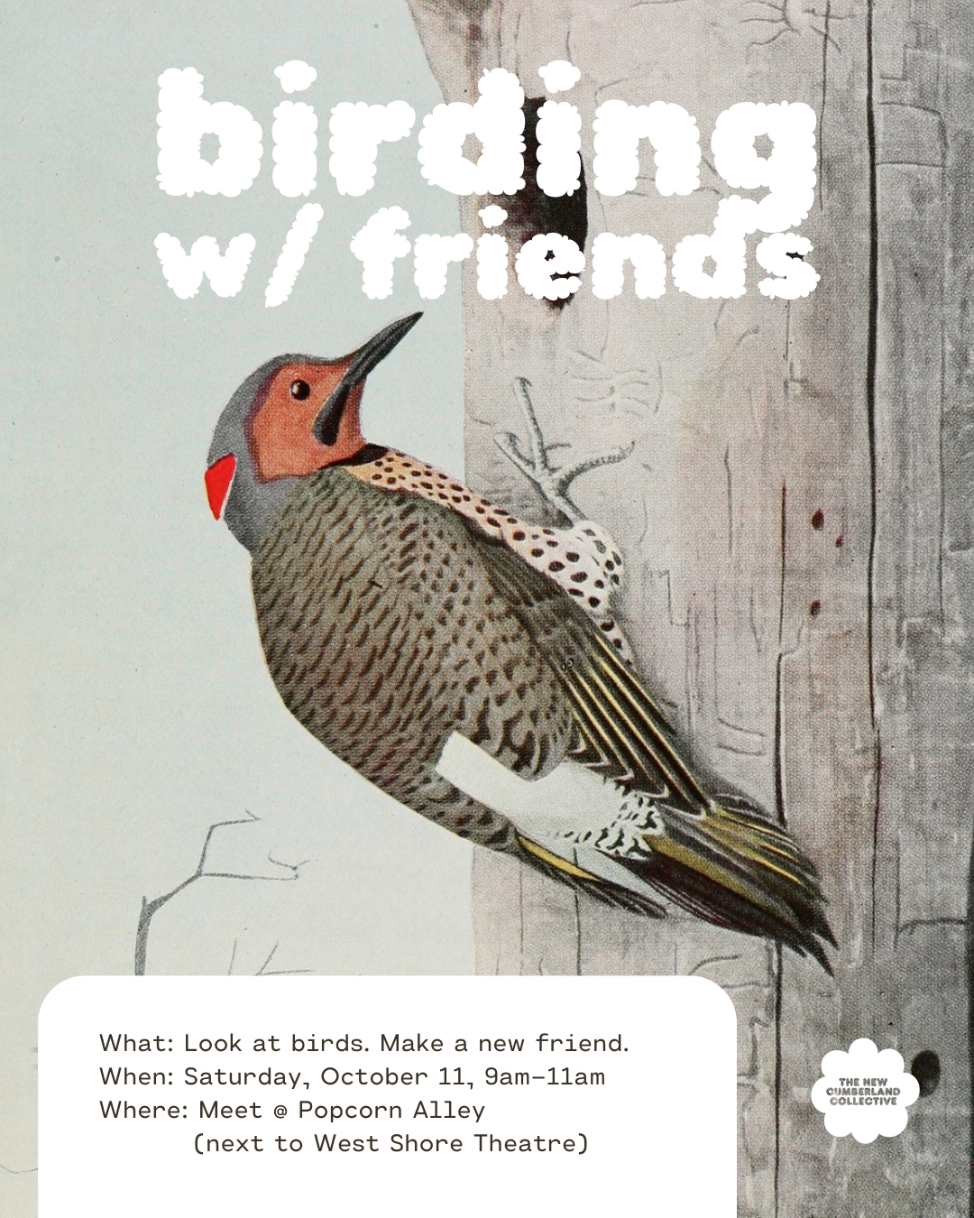 birding with friends.png