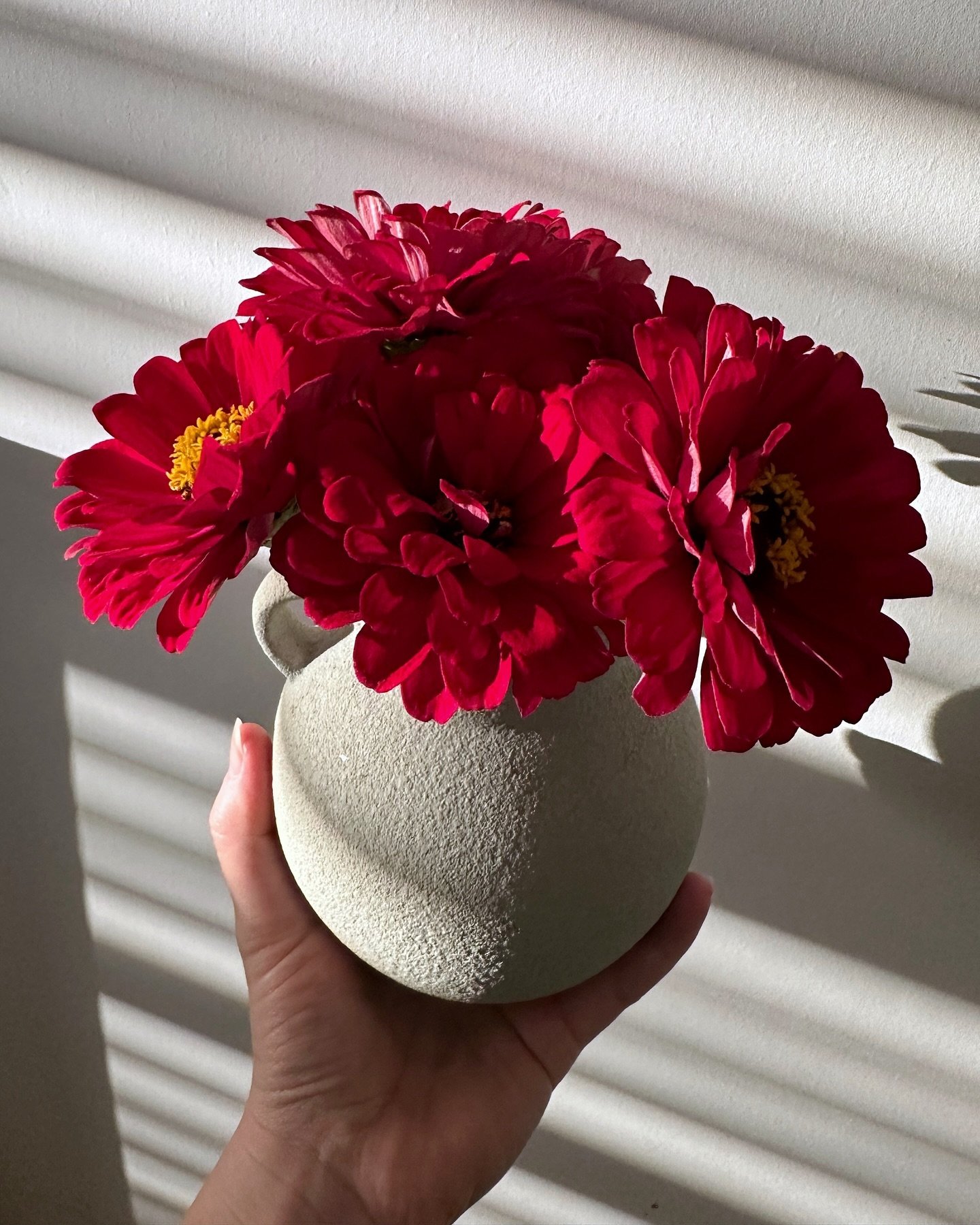 These just needed a permanent place on my feed. They&rsquo;re probably some of the last blooms from my garden this year 🥹✨