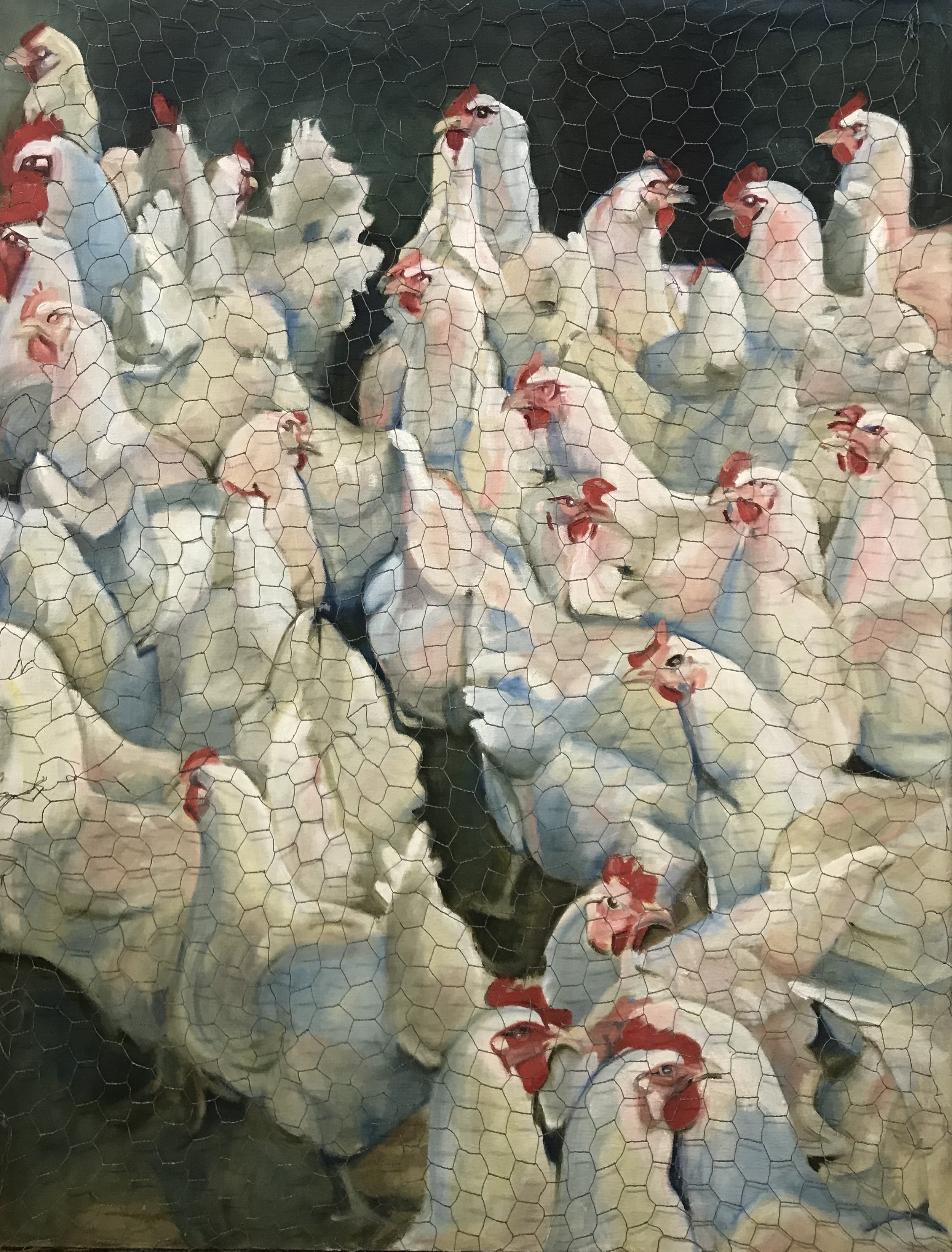 Chicken wire 2023 for sale, great addition to your cottage!
