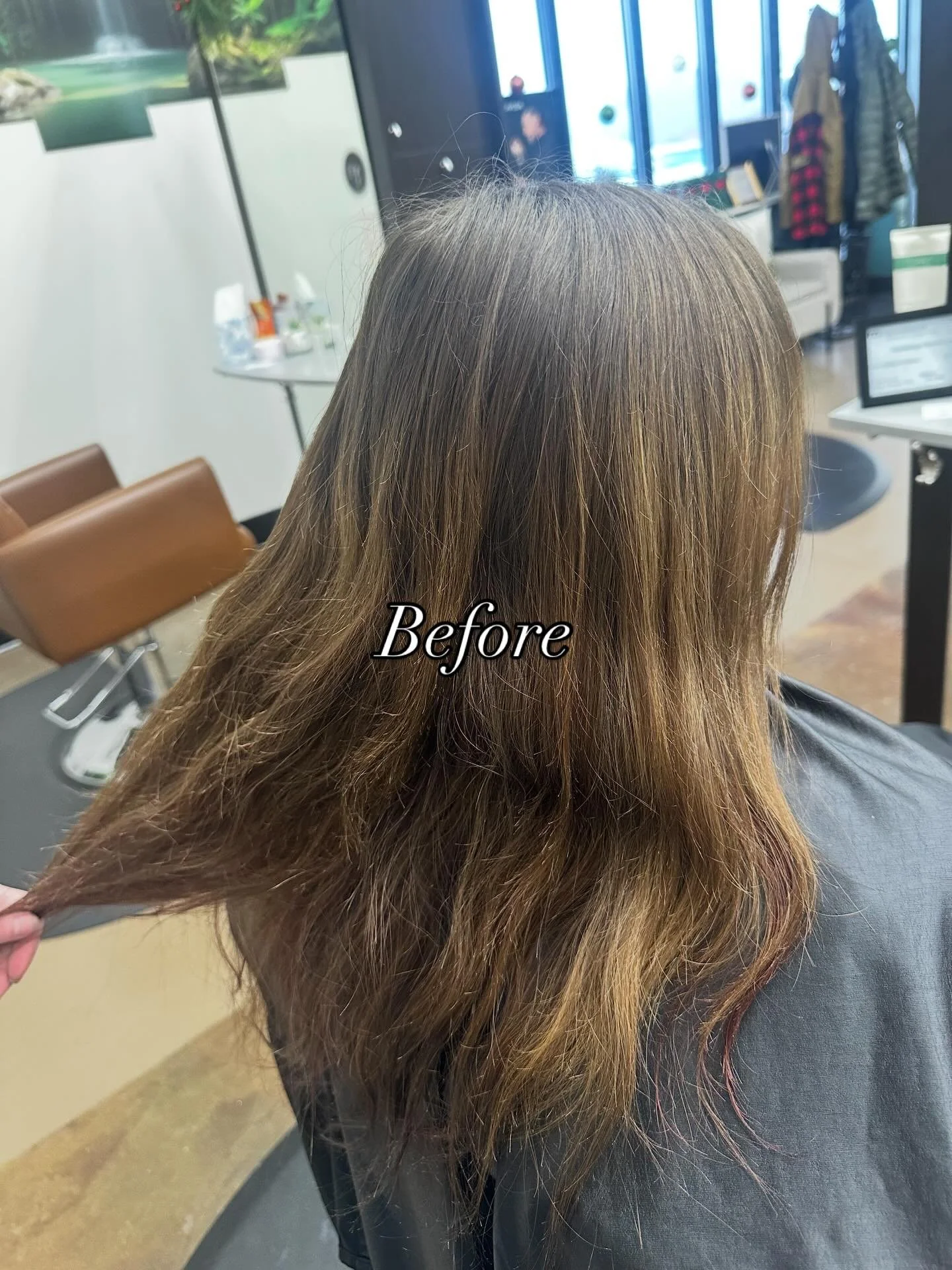 Cut and color done by Stylist Sydney
