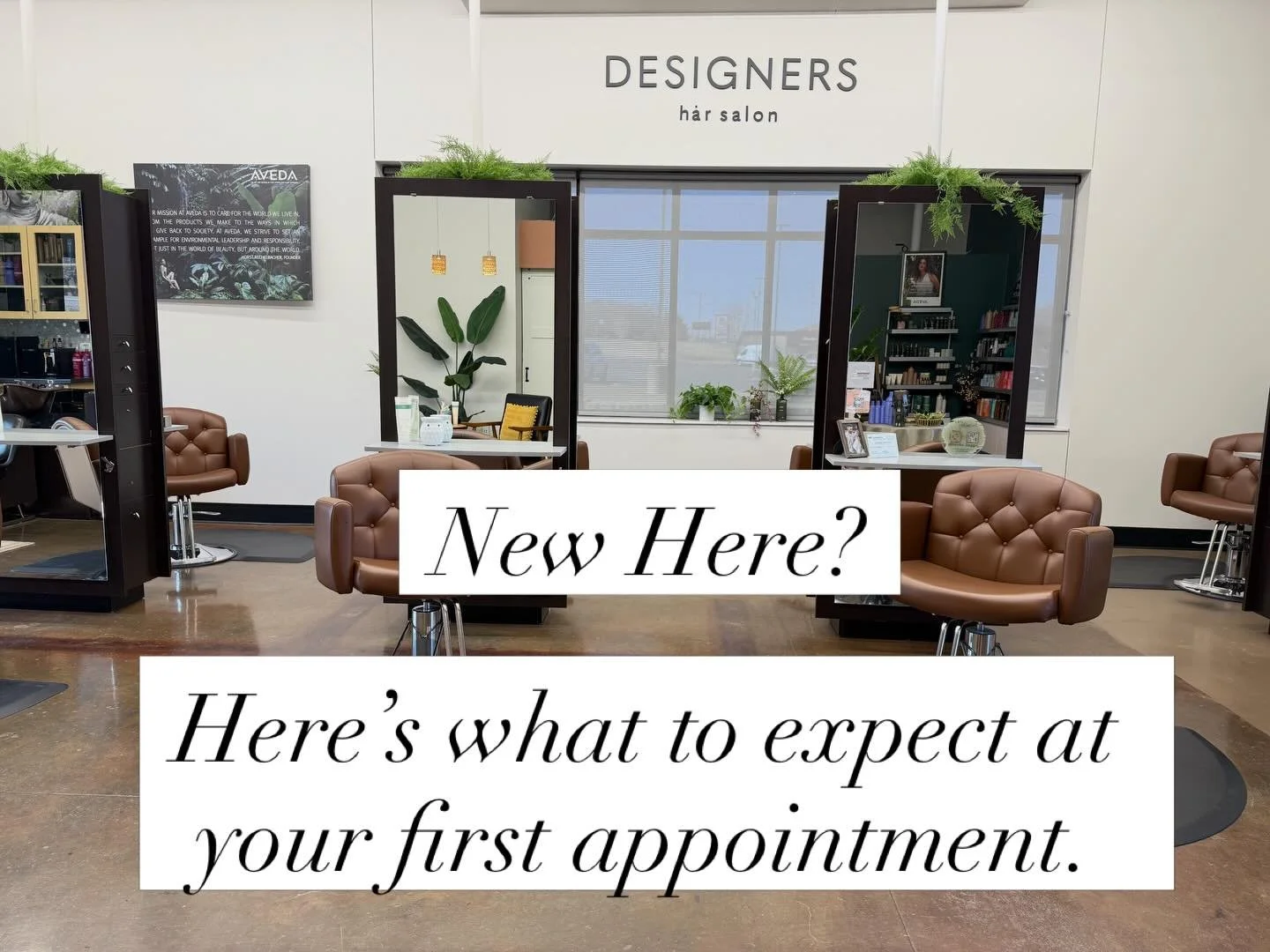 BOOK NOW! 👇 WE CAN&rsquo;T WAIT TO MEET YOU!!
651-257-9477
https://www.designersharsalon.com