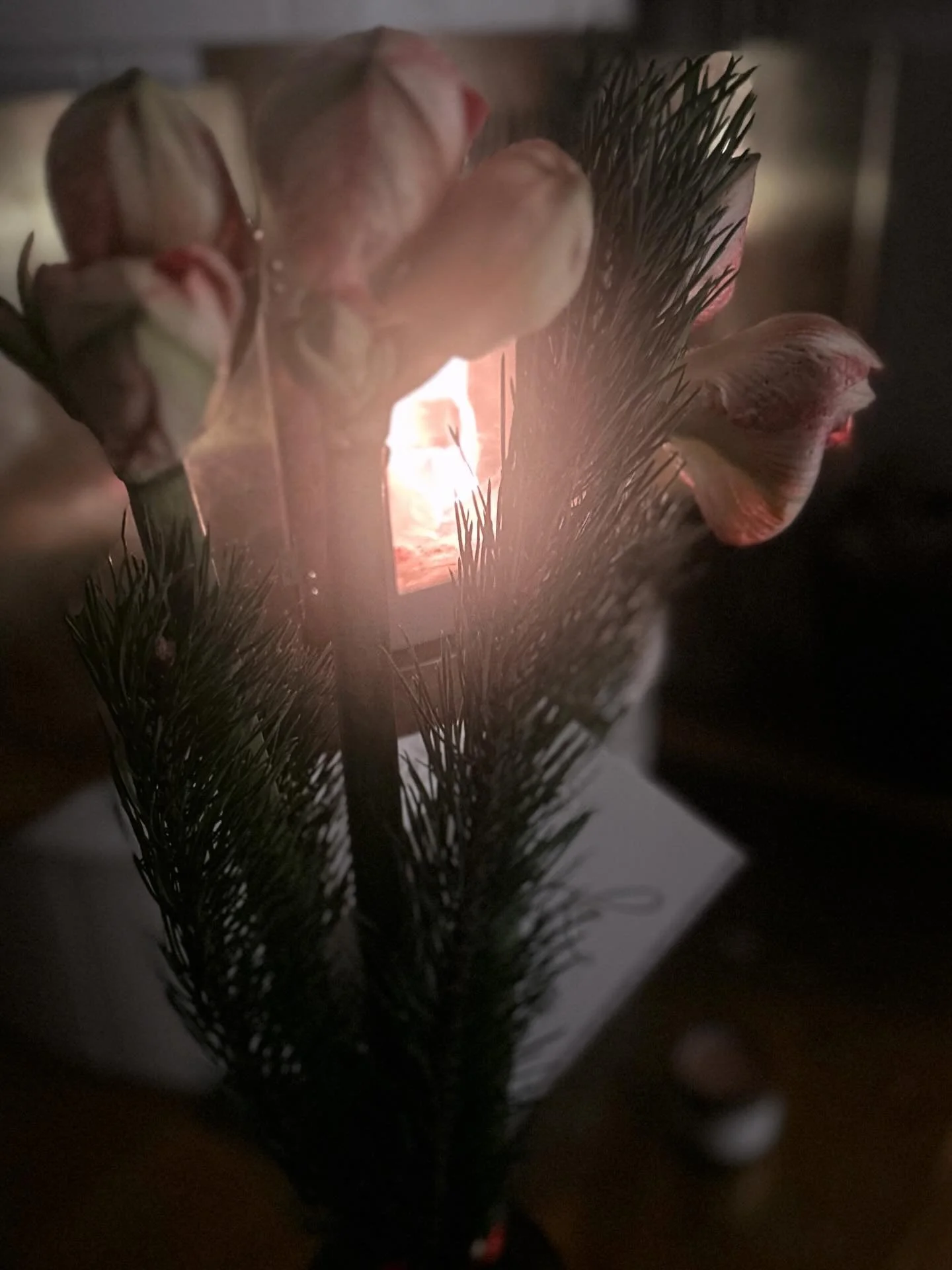 Blommor, s&aring; fint!🤍🙏
Tack f&ouml;r er, f&ouml;r att ni g&ouml;r rummet levande och fyllt av n&aring;got man inte riktigt kan s&auml;tta ord p&aring; 🧘🏻&zwj;♀️🤍