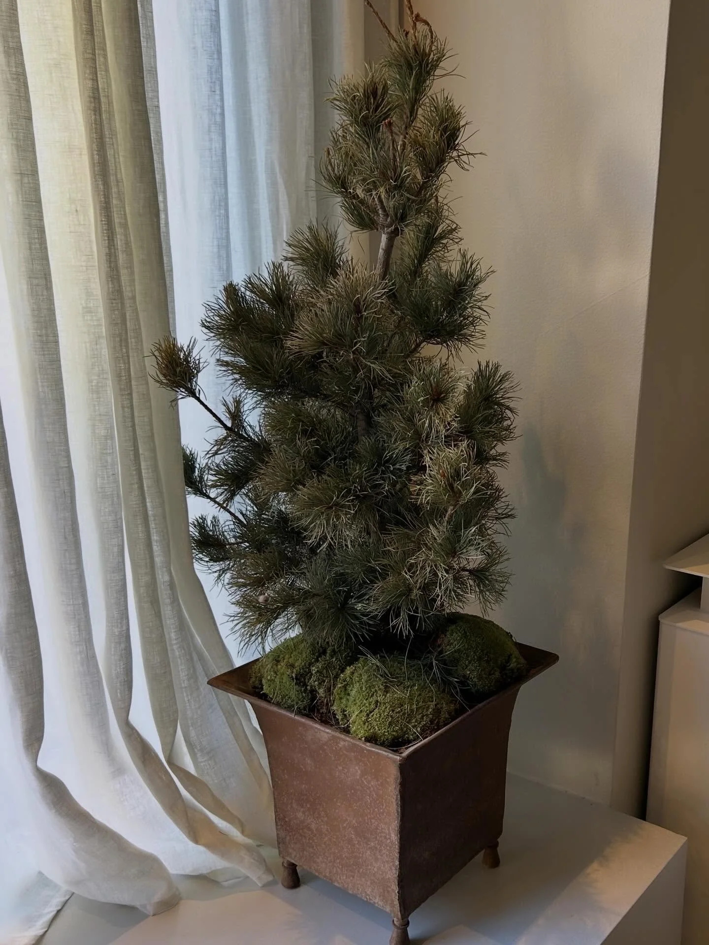 Mindful Morning @yogiraj.se x @existo_studio 
Soft start. Right energy. En riktigt fin morgon tillsammans 🤍