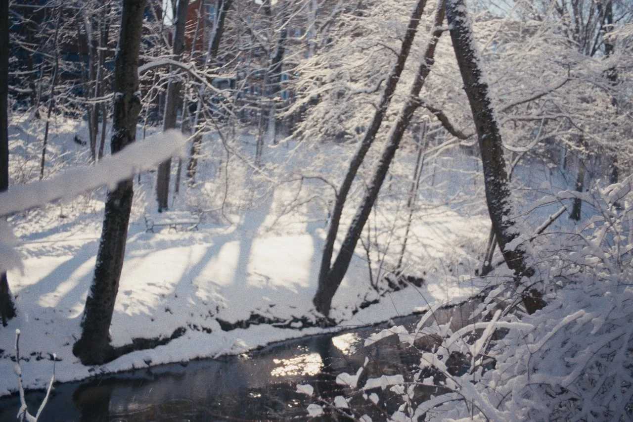 Still_Winter_1.17.1 Large.jpeg