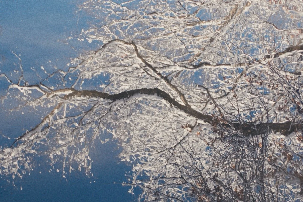 Still_Winter_1.22.1 Large.jpeg