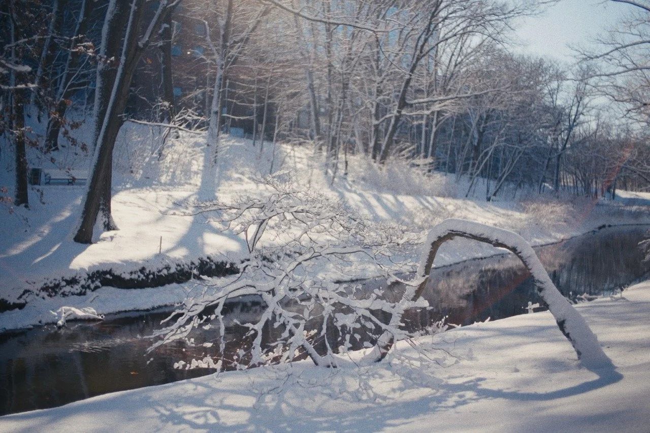 Still_Winter_1.14.1 Large.jpeg