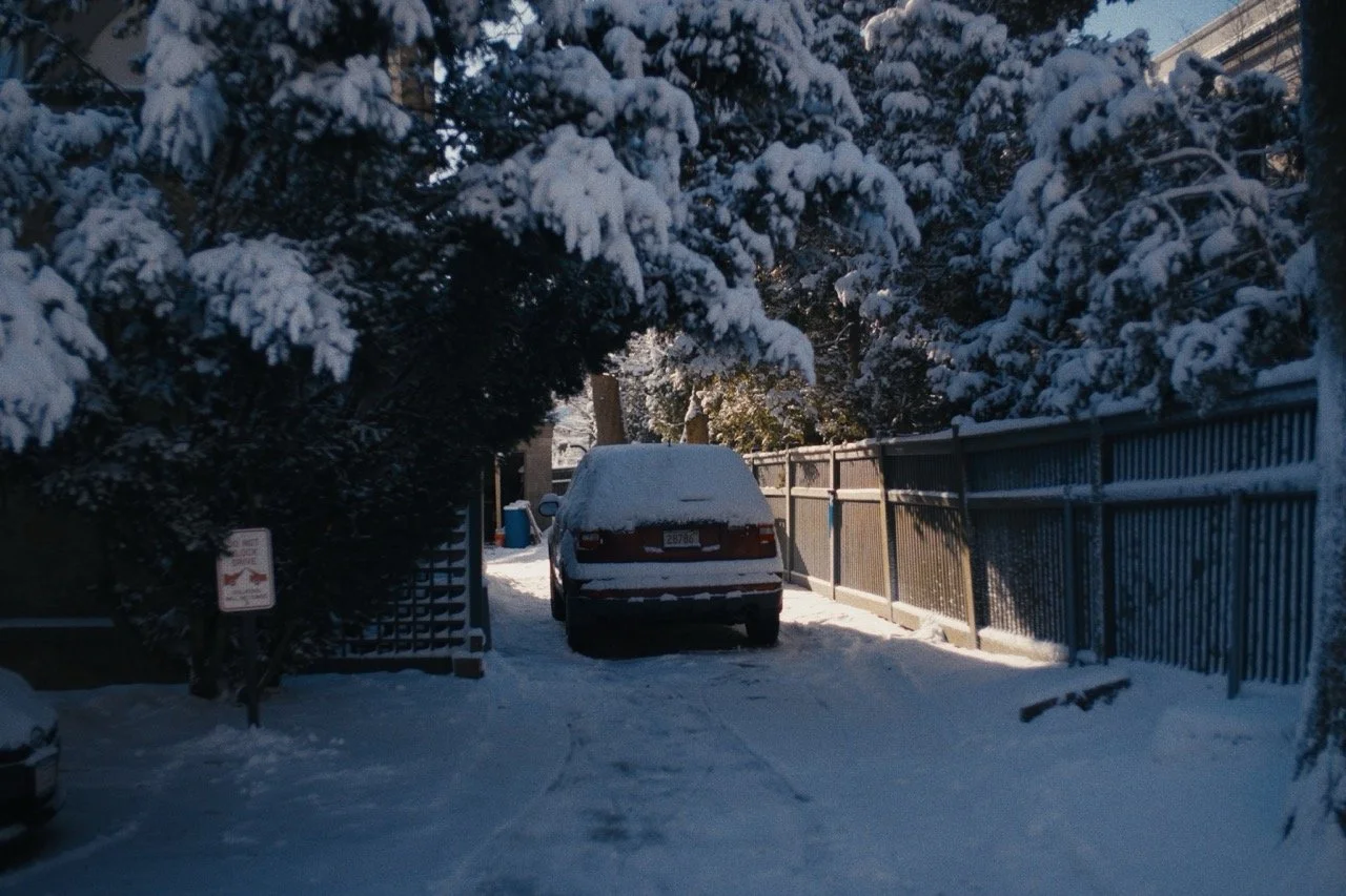 Still_Winter_1.2.1 Large.jpeg