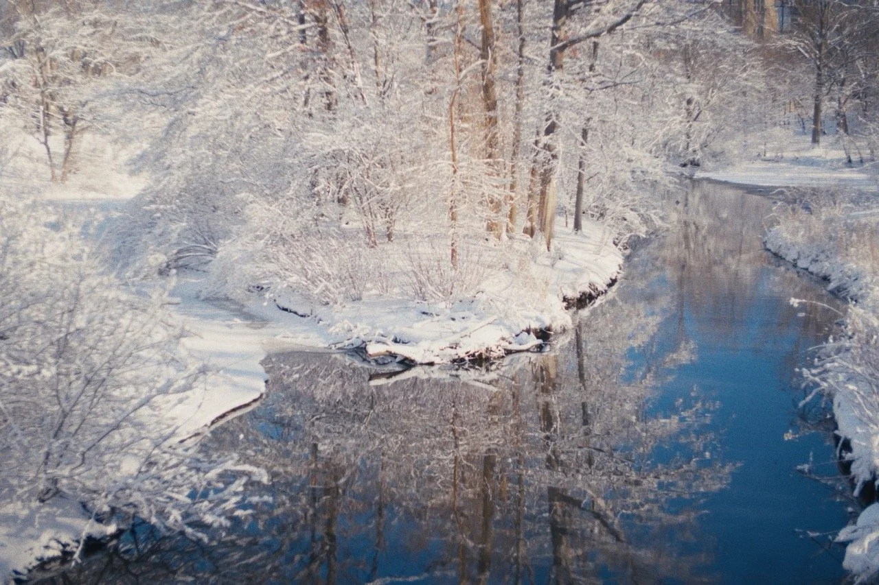 Still_Winter_1.23.1 Large.jpeg