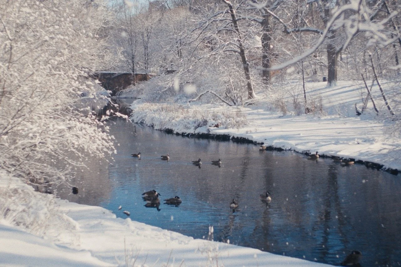 Still_Winter_1.20.1 Large.jpeg