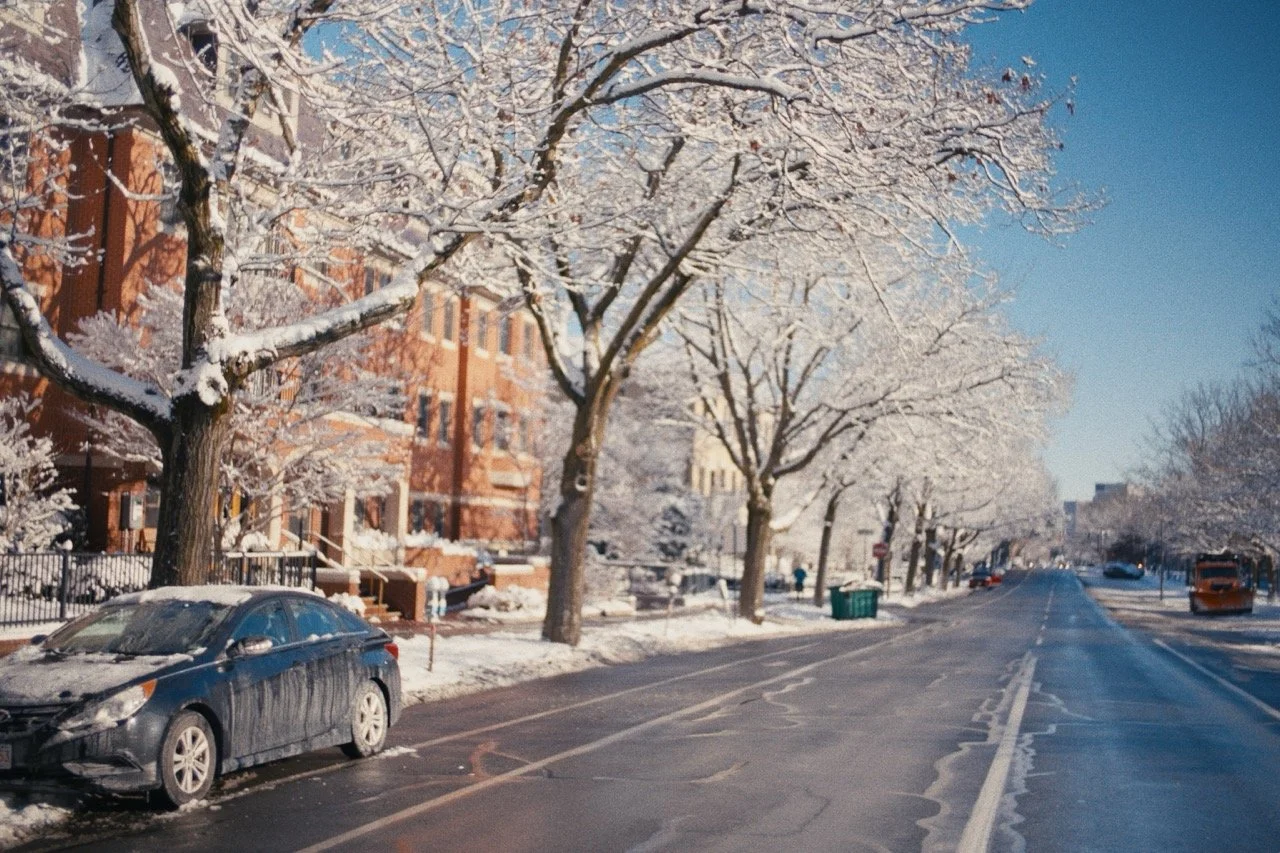 Still_Winter_1.7.1 Large.jpeg