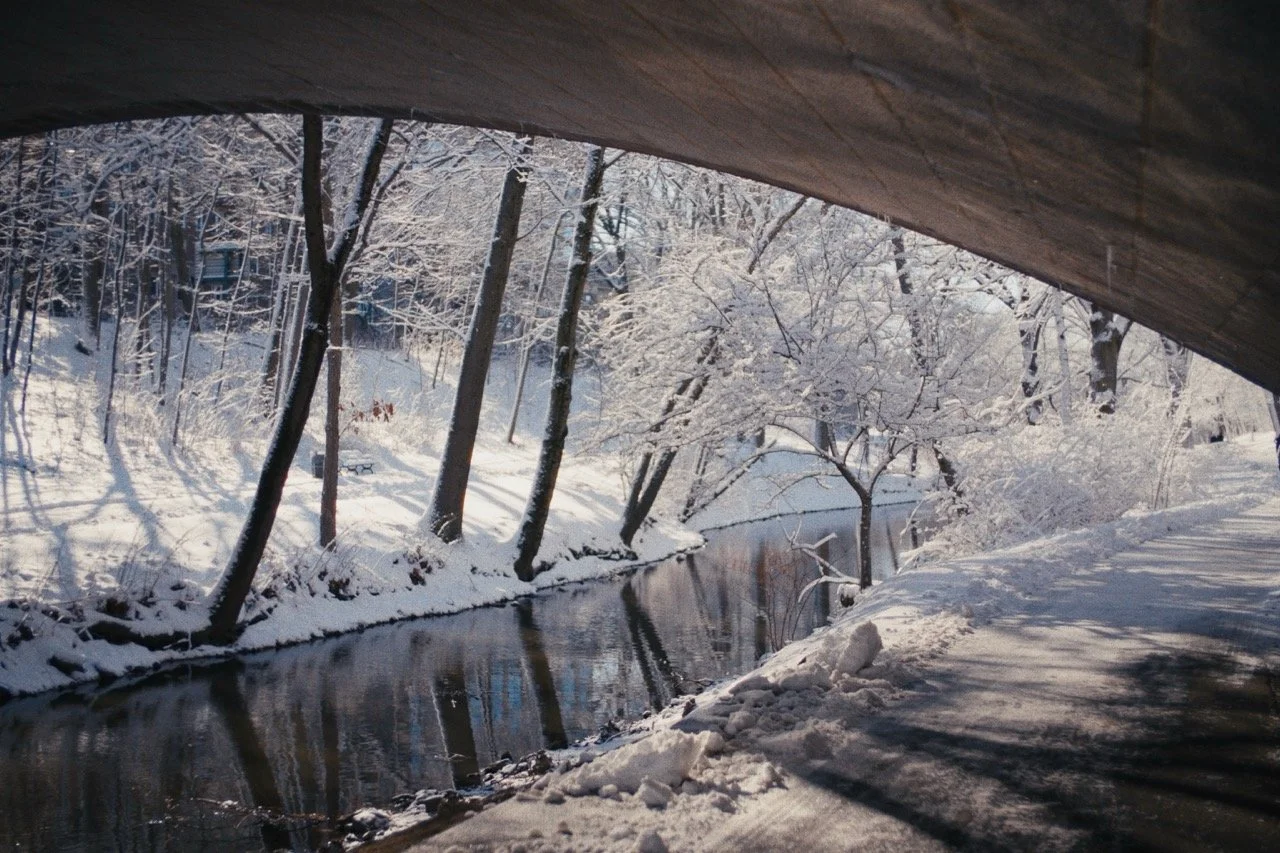 Still_Winter_1.18.1 Large.jpeg