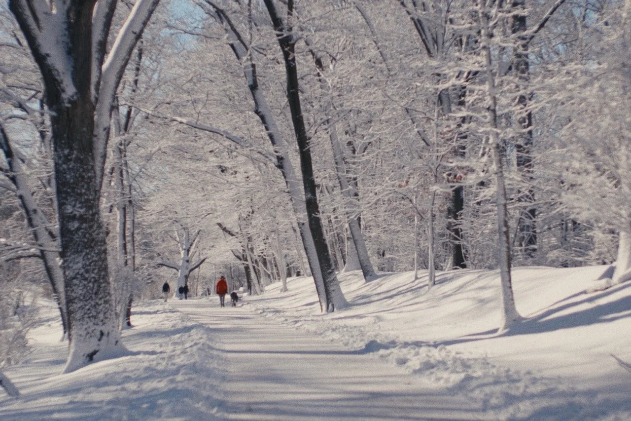 Still_Winter_1.16.1 Large.jpeg