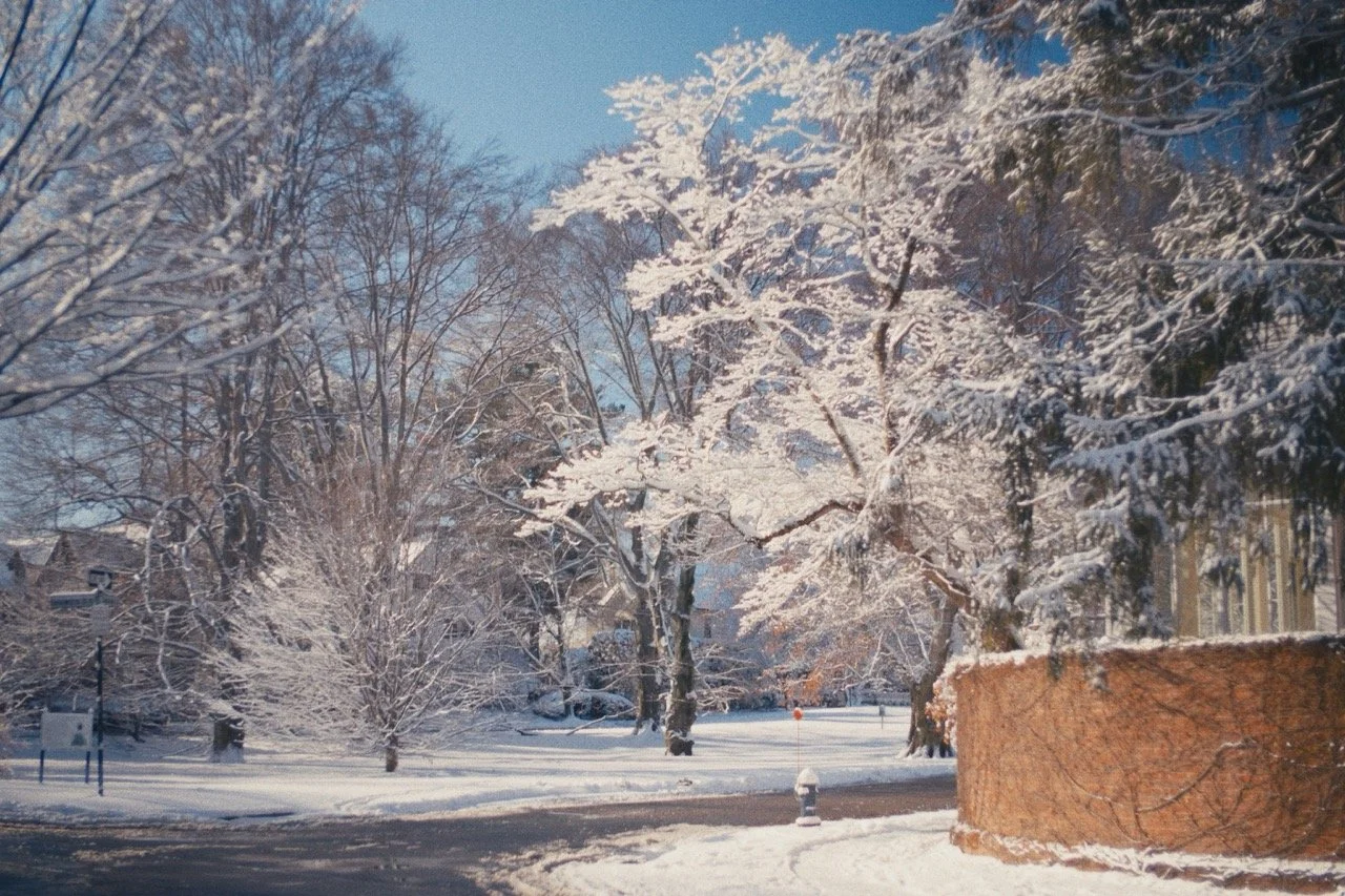 Still_Winter_1.1.1 Large.jpeg