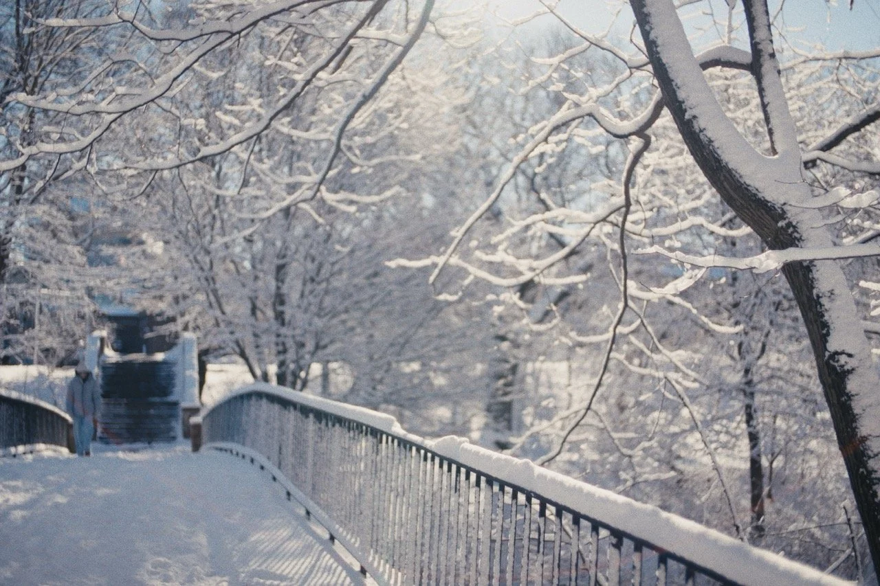 Still_Winter_1.21.1 Large.jpeg