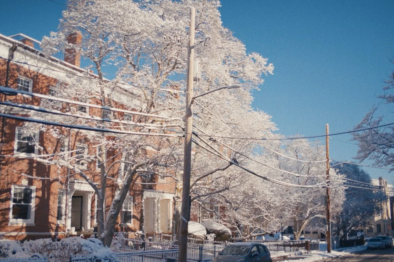 Still_Winter_1.24.1 Large.jpeg