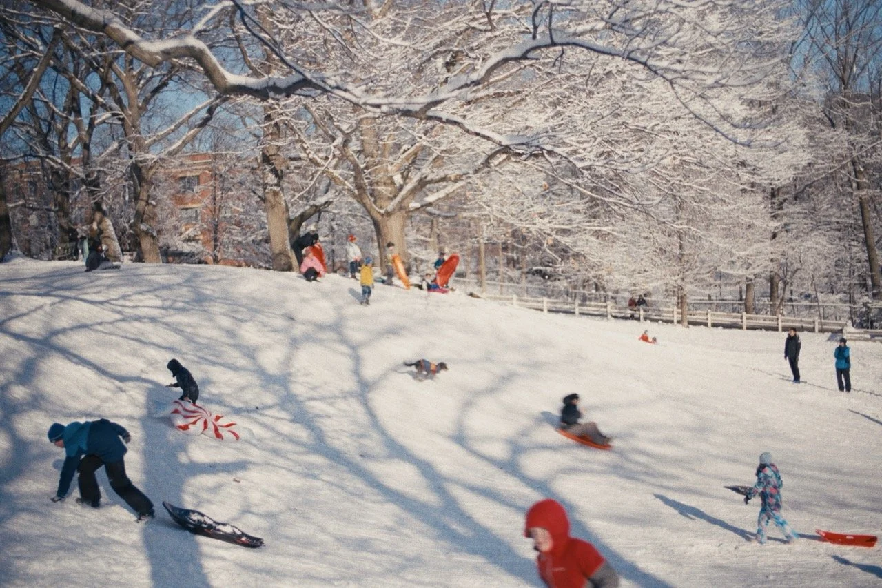 Still_Winter_1.8.1 Large.jpeg