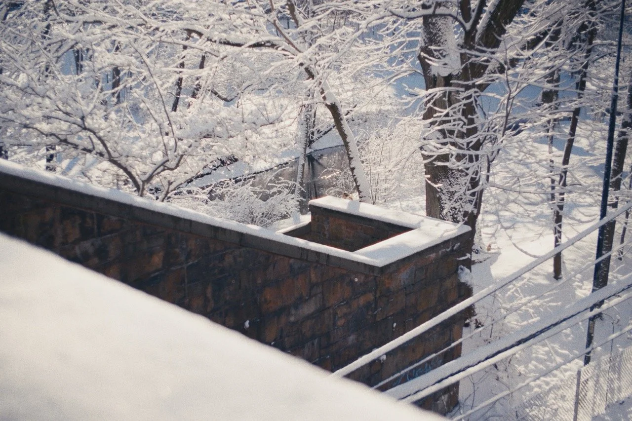 Still_Winter_1.9.1 Large.jpeg