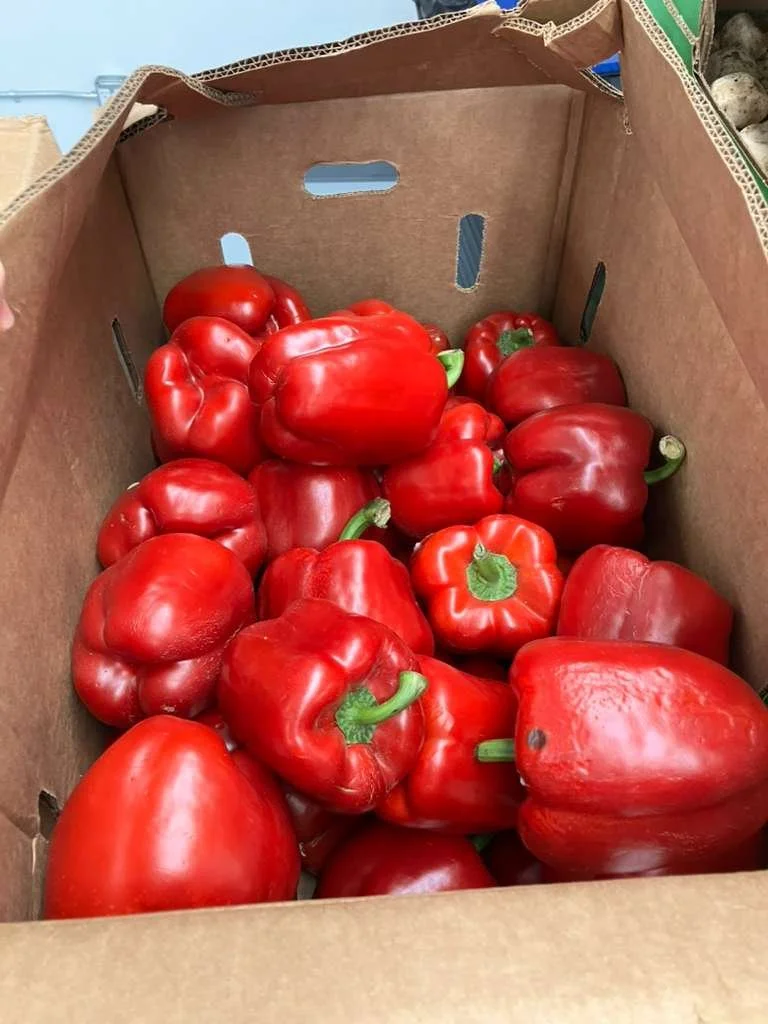 WhatsApp Image 2026-04-15 at 3.55.28 PM (4).jpeg