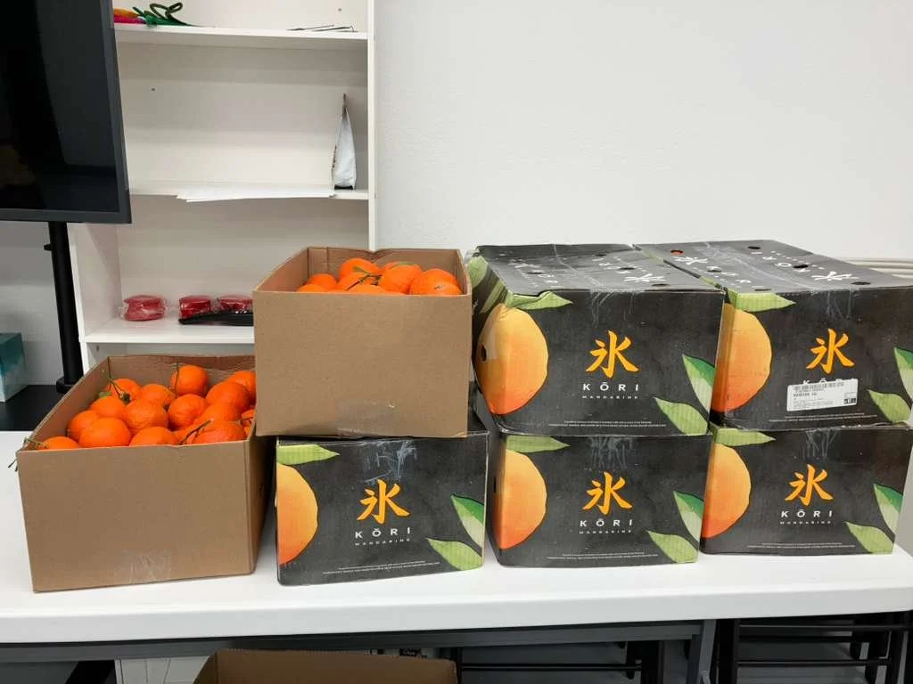 WhatsApp Image 2026-04-15 at 3.55.28 PM (3).jpeg