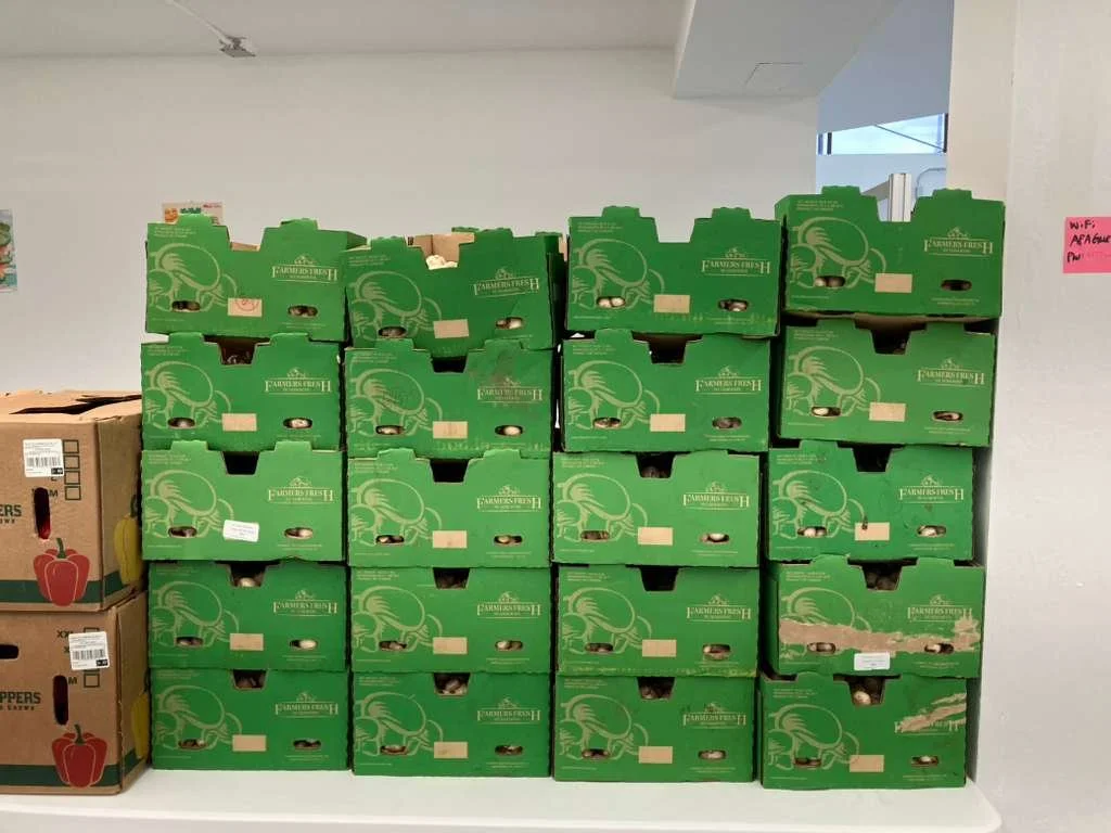 WhatsApp Image 2026-04-15 at 3.55.28 PM (2).jpeg