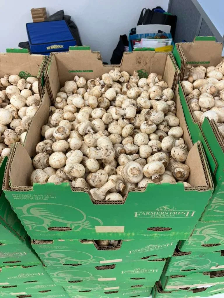 WhatsApp Image 2026-04-15 at 3.55.28 PM (1).jpeg