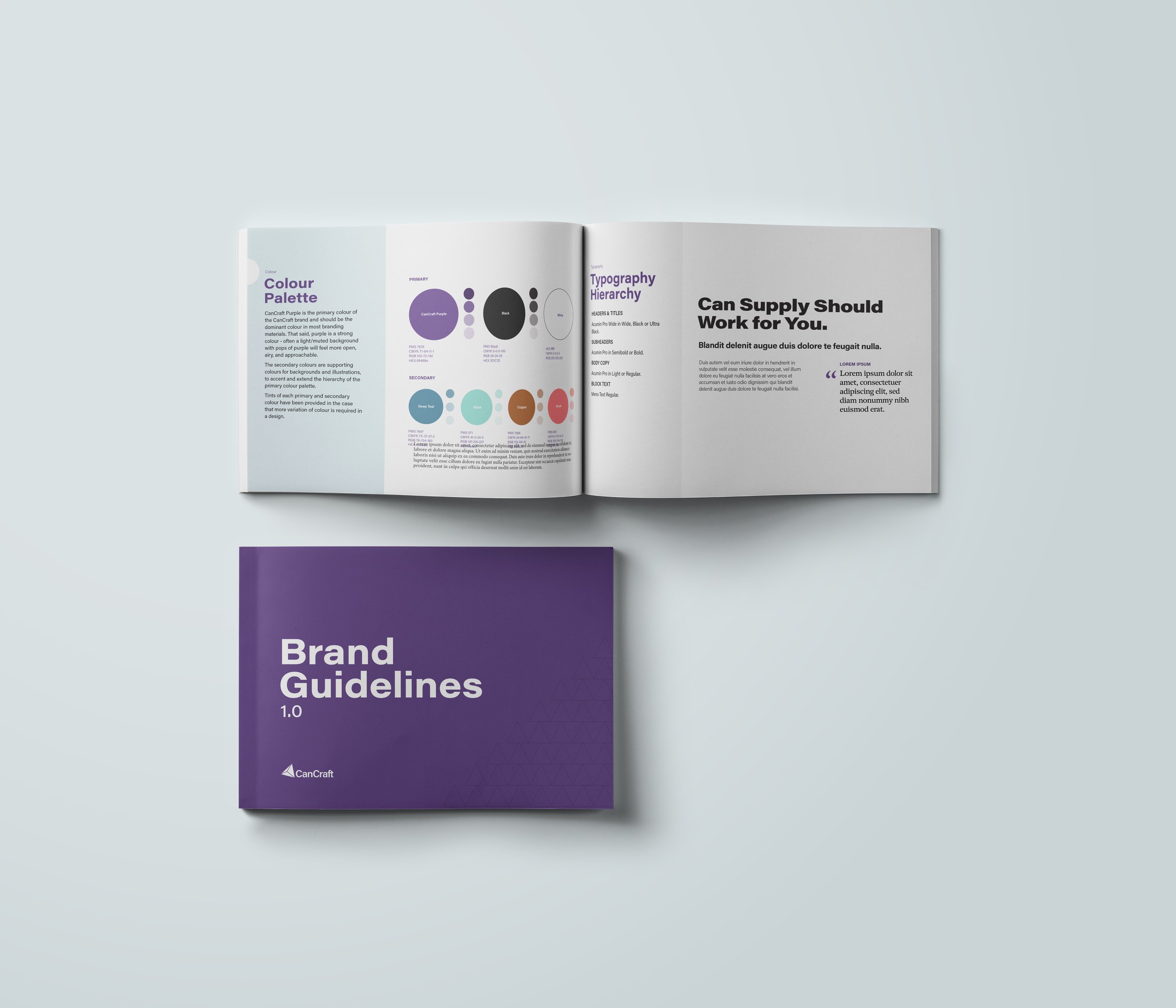 CC_brand_guidelines.jpg