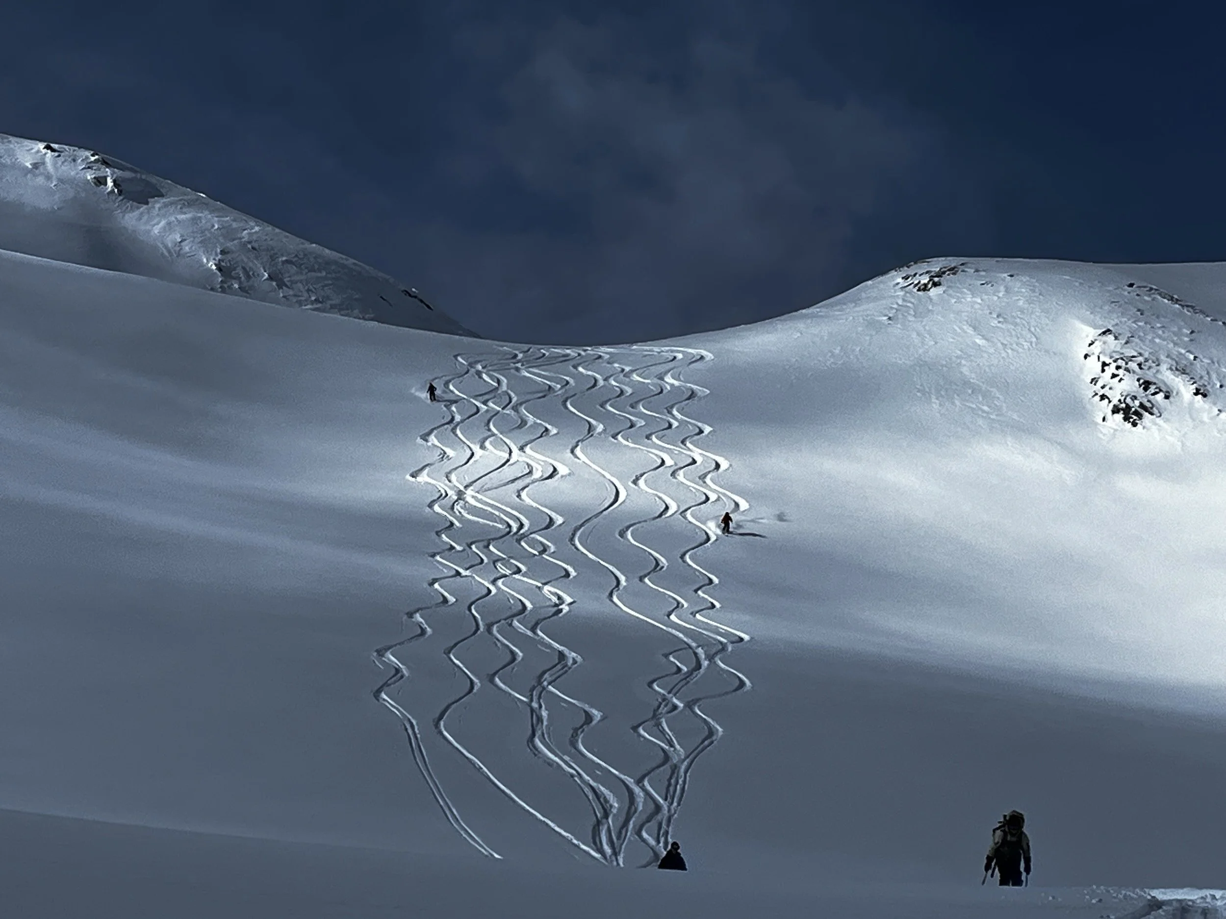 Powder Turns.jpeg