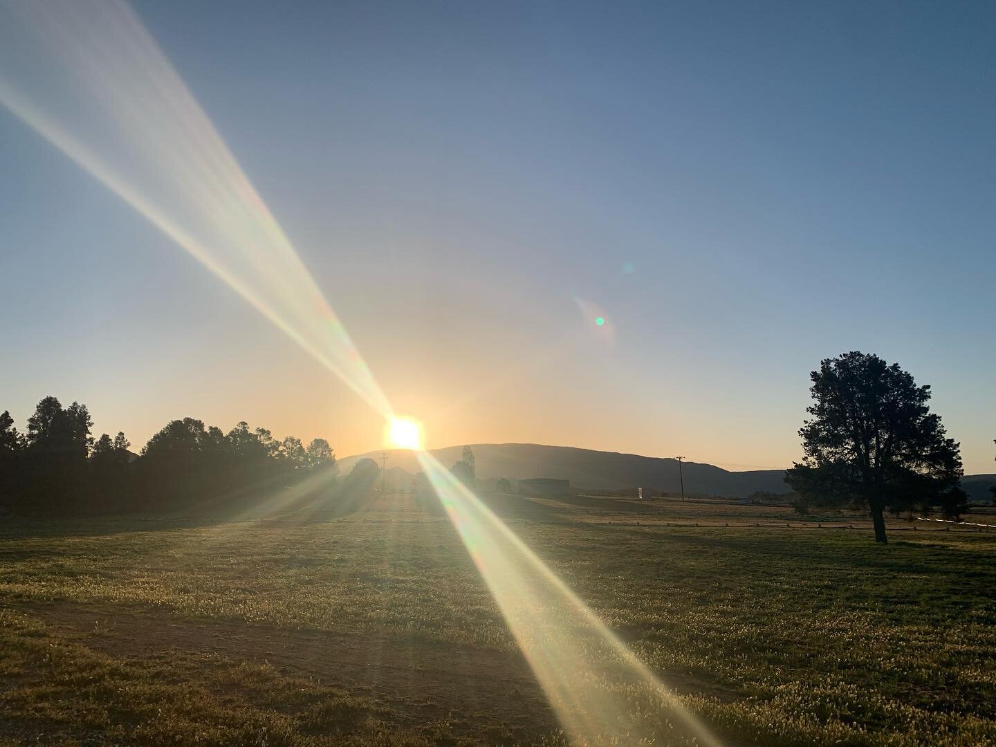 Recently, I returned from a getaway, and my body was feeling jittery, irritable, and not quite itself. I went from visiting wide open spaces with nature, trees, moonrises and sunsets to the beautiful suburb I live in. I love where I live, and it is v
