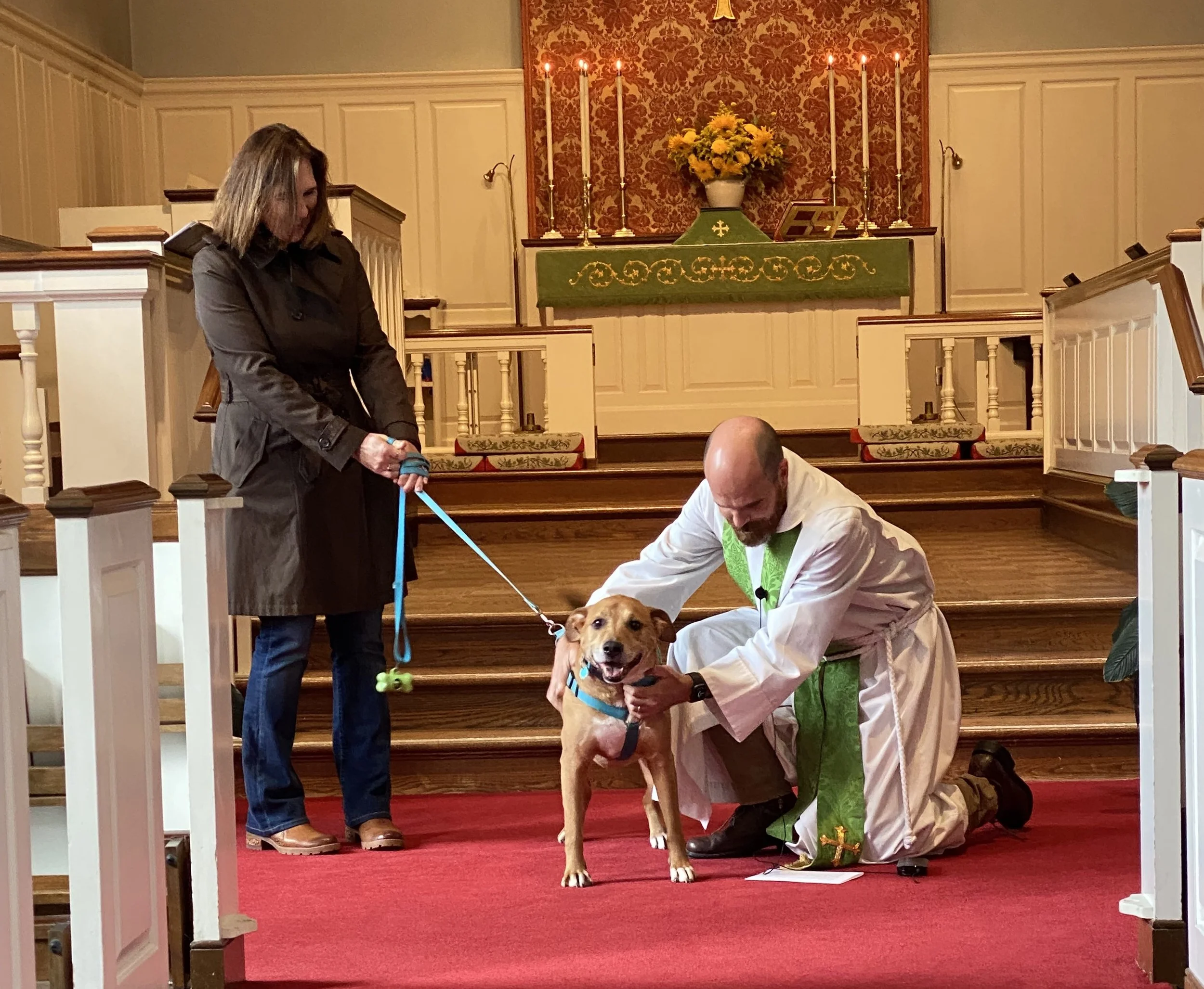 Blessing of the Animals