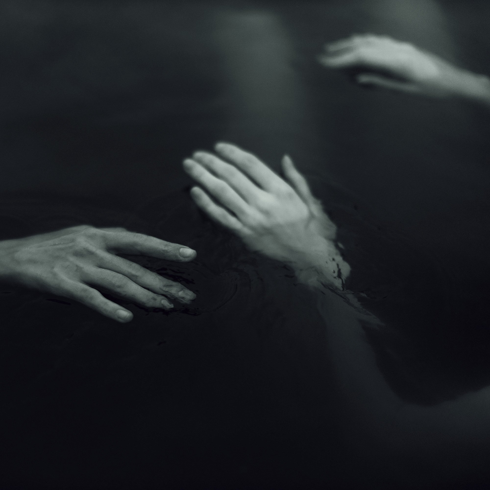 The Aquatics’ Revolution