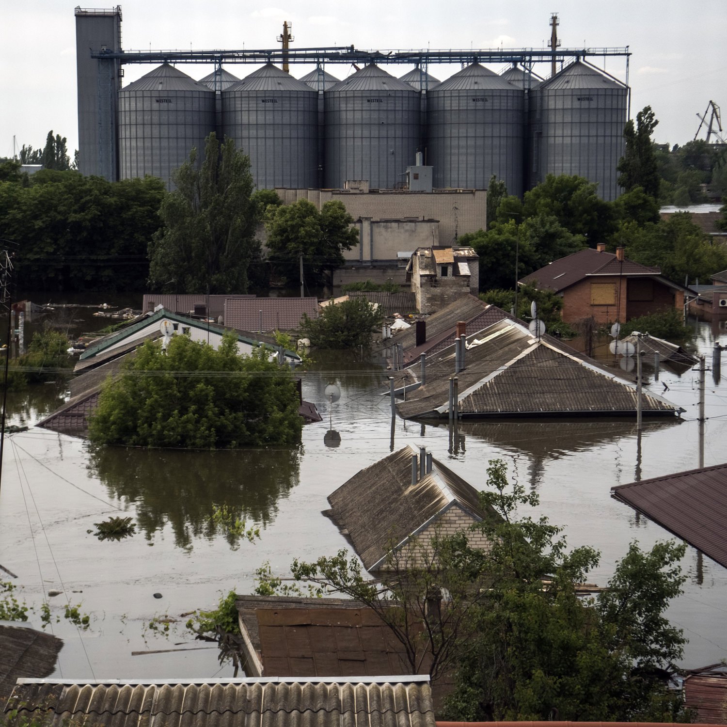 Finding Dry Land in Kherson
