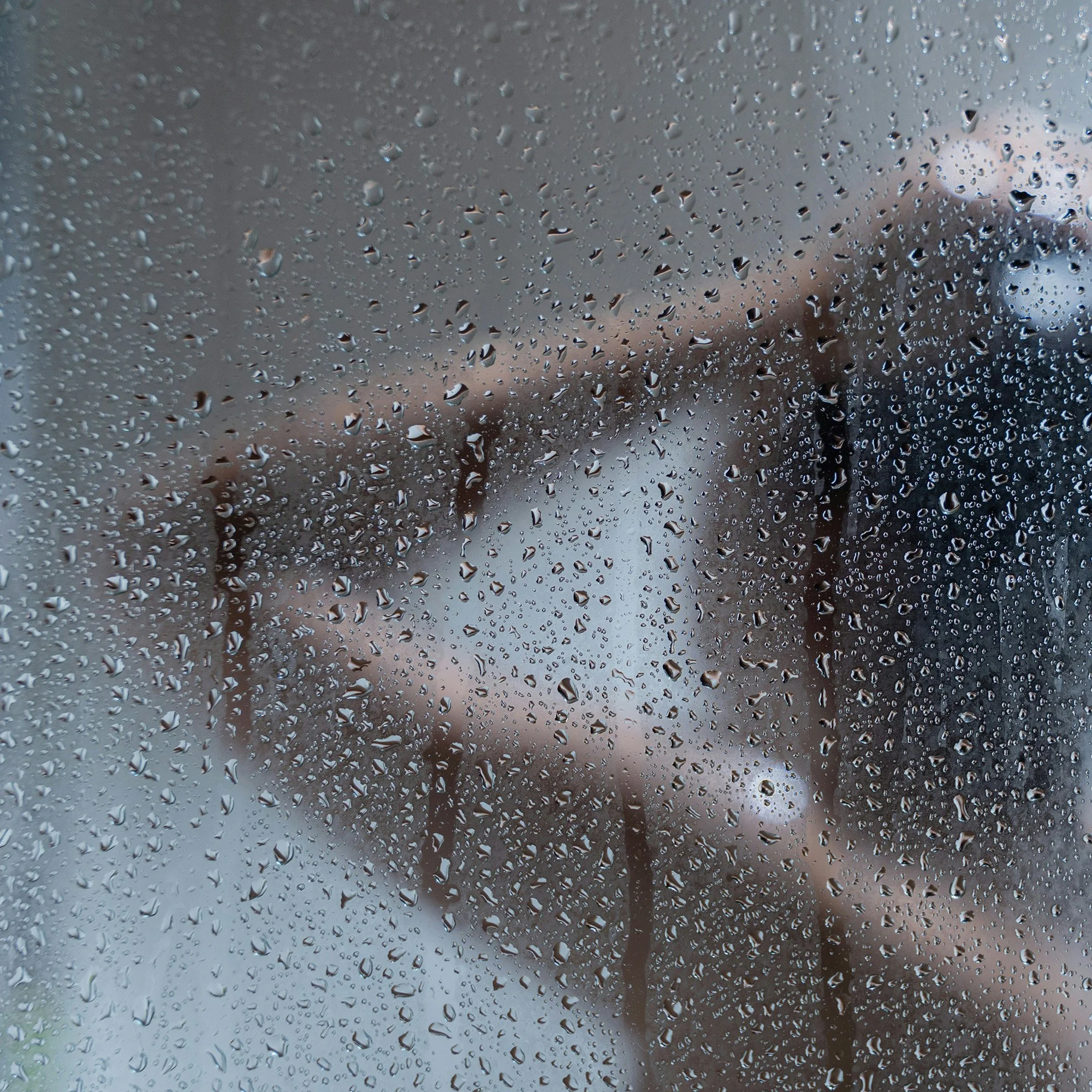 I Don&rsquo;t Want to Be Like You