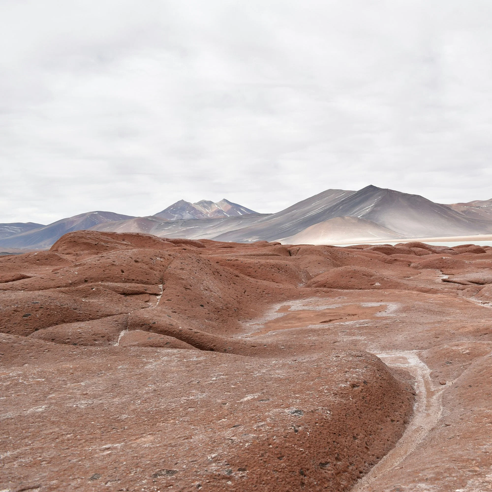 Ode to the Atacama Desert