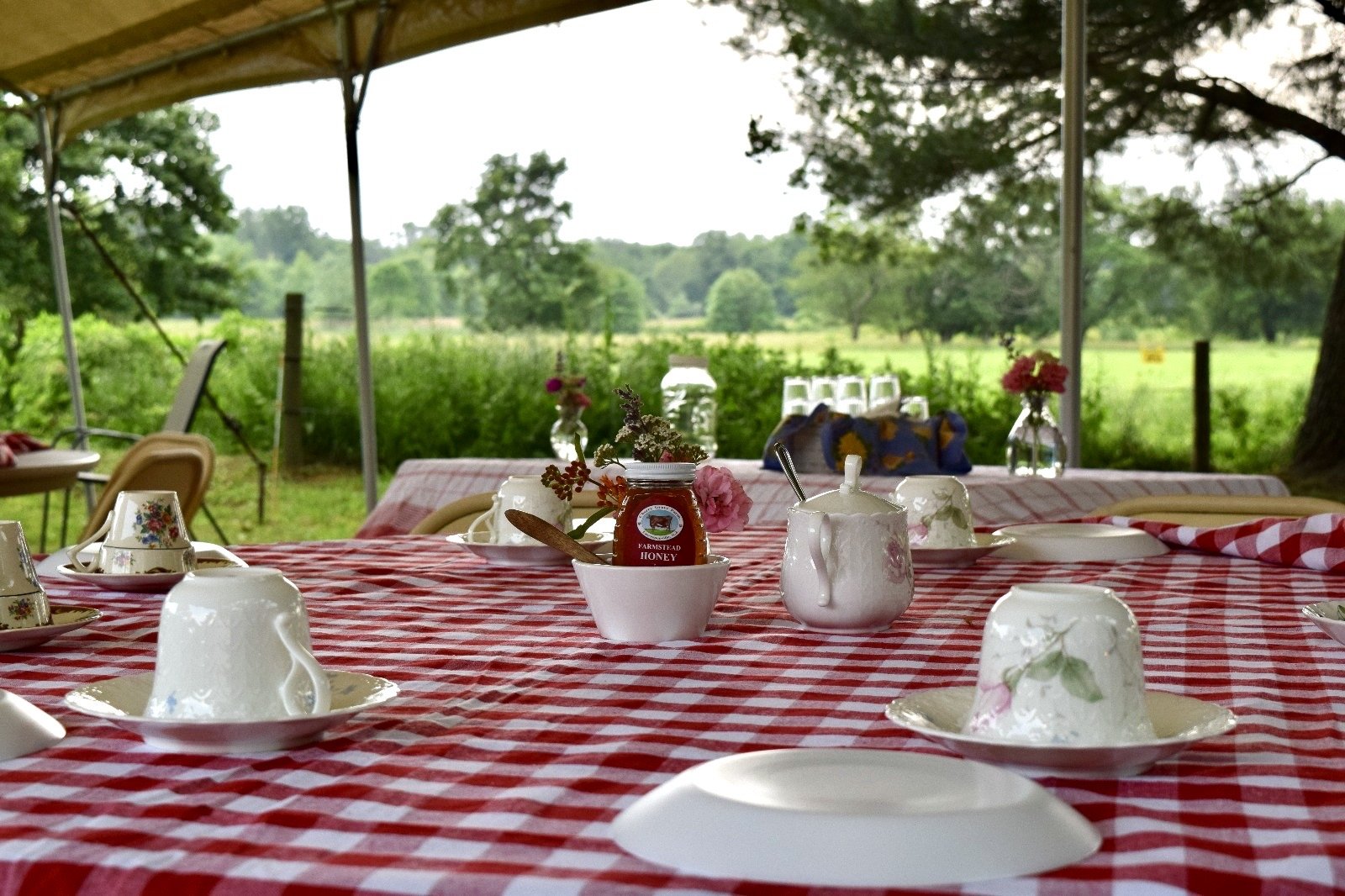Tea on the Farm