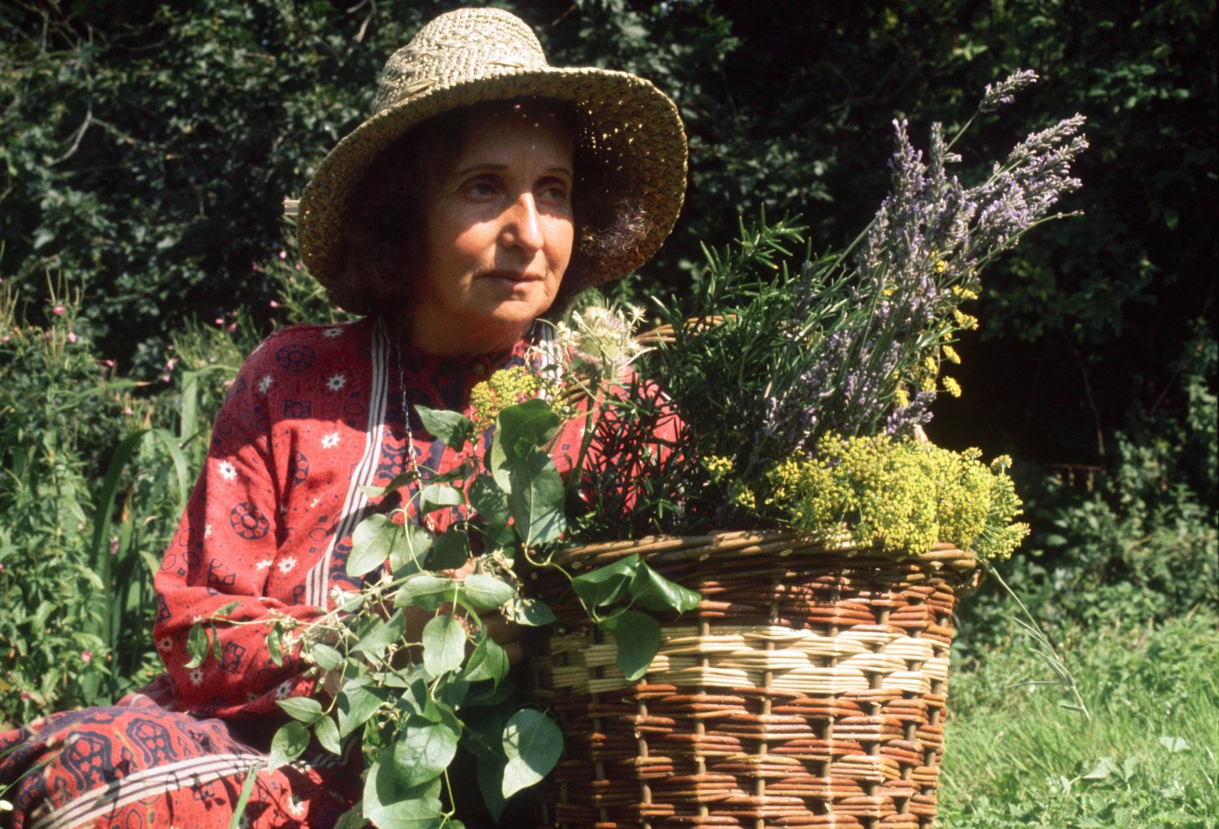 Movie Night - Juliette of the Herbs