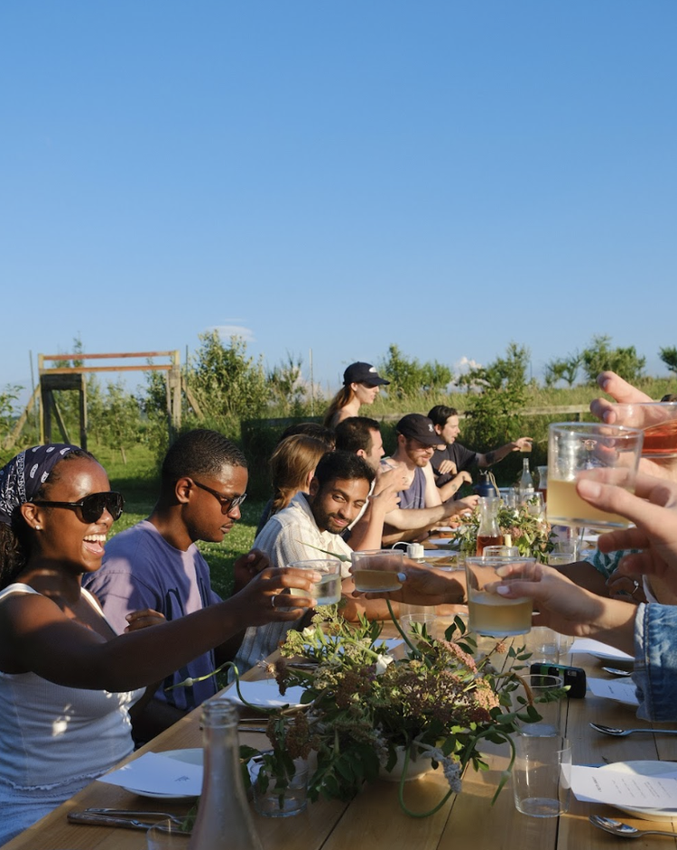 Treetop Journeys Dinner